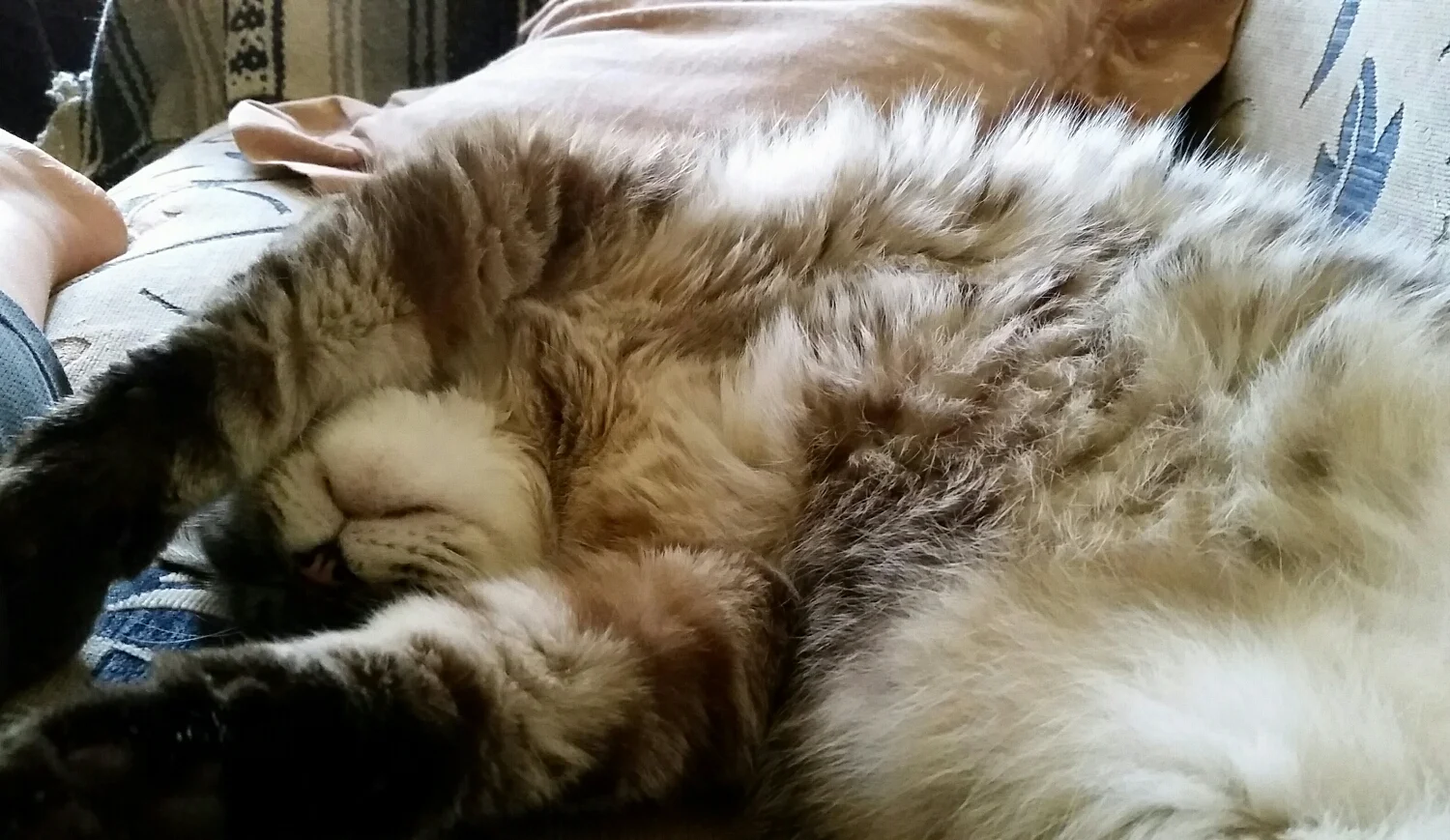 Hope you all have an enjoyable lazy Sunday 