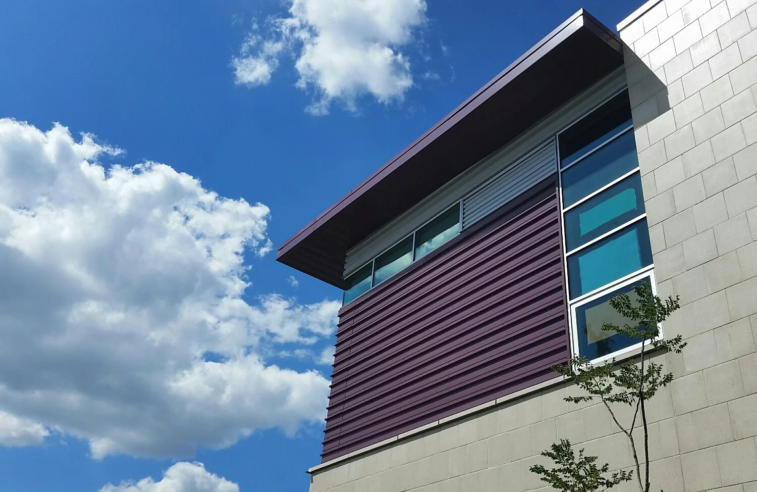 Lincoln Elementary Performing Arts School