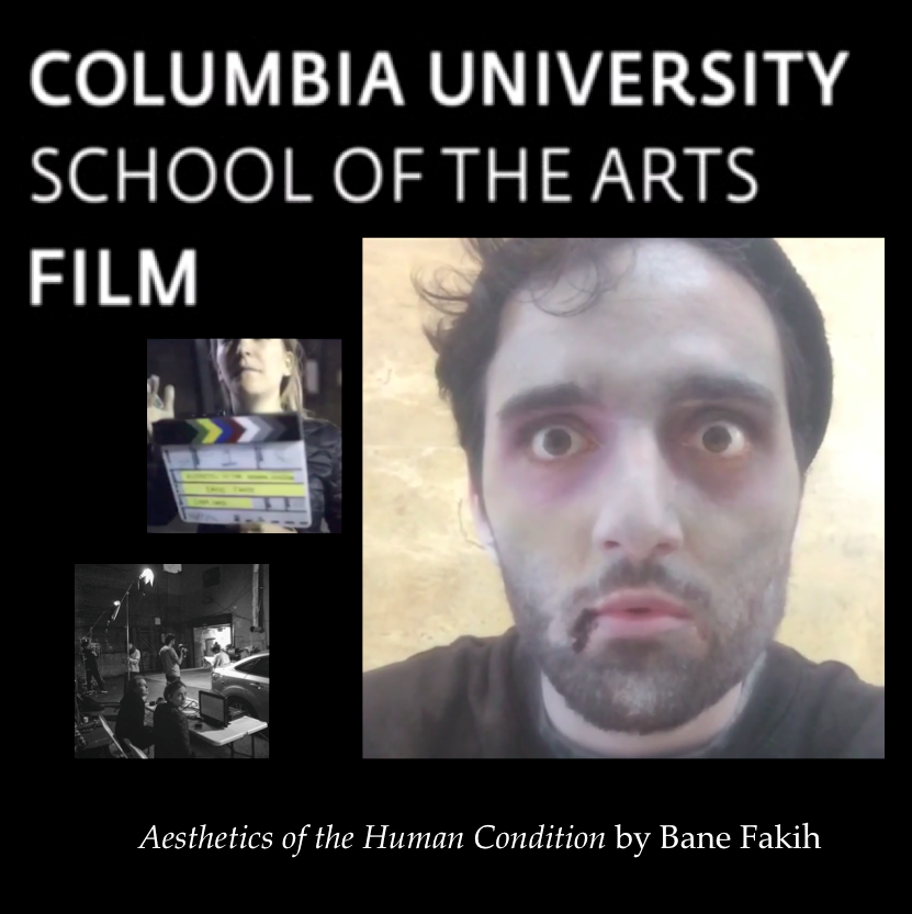 Aesthetics of the Human Condition