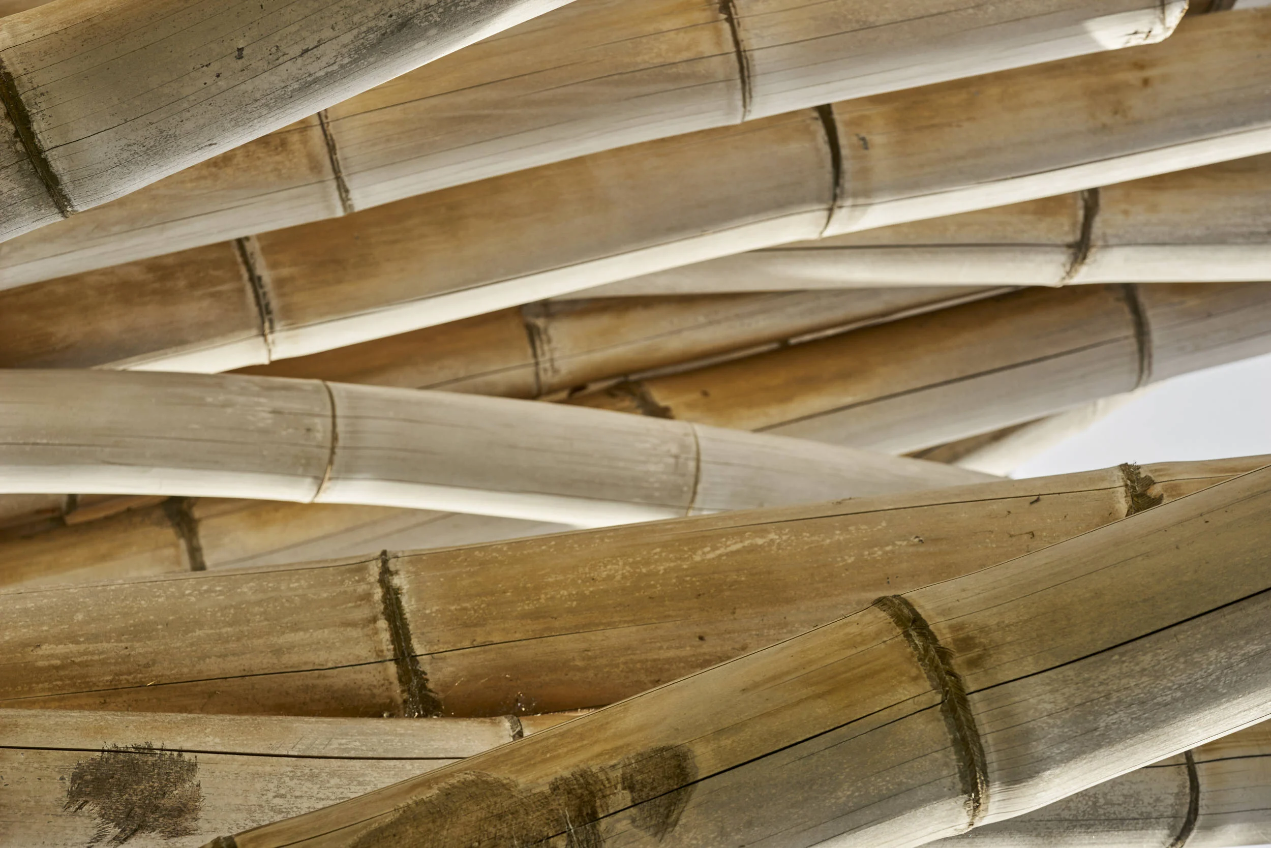 giant bamboo stalks - 2nd tier