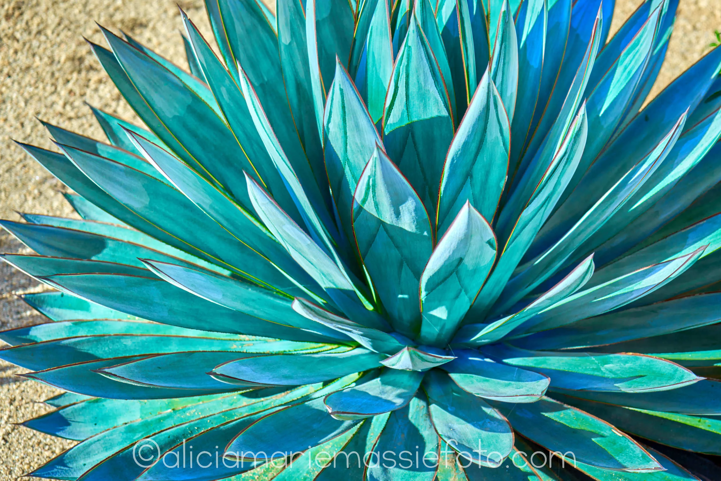 spike me teal