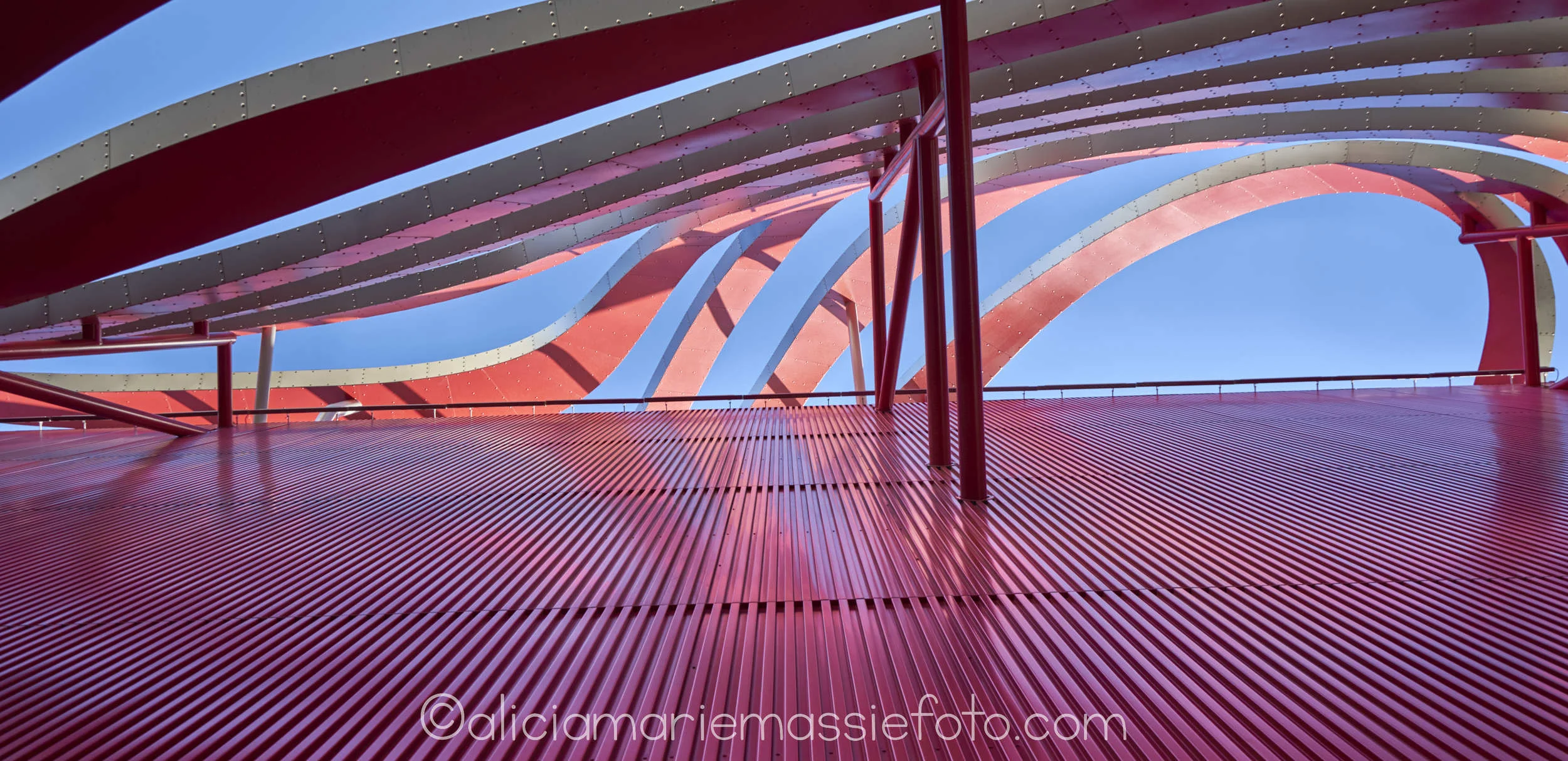  original photography by alicia marie massie, san diego california 