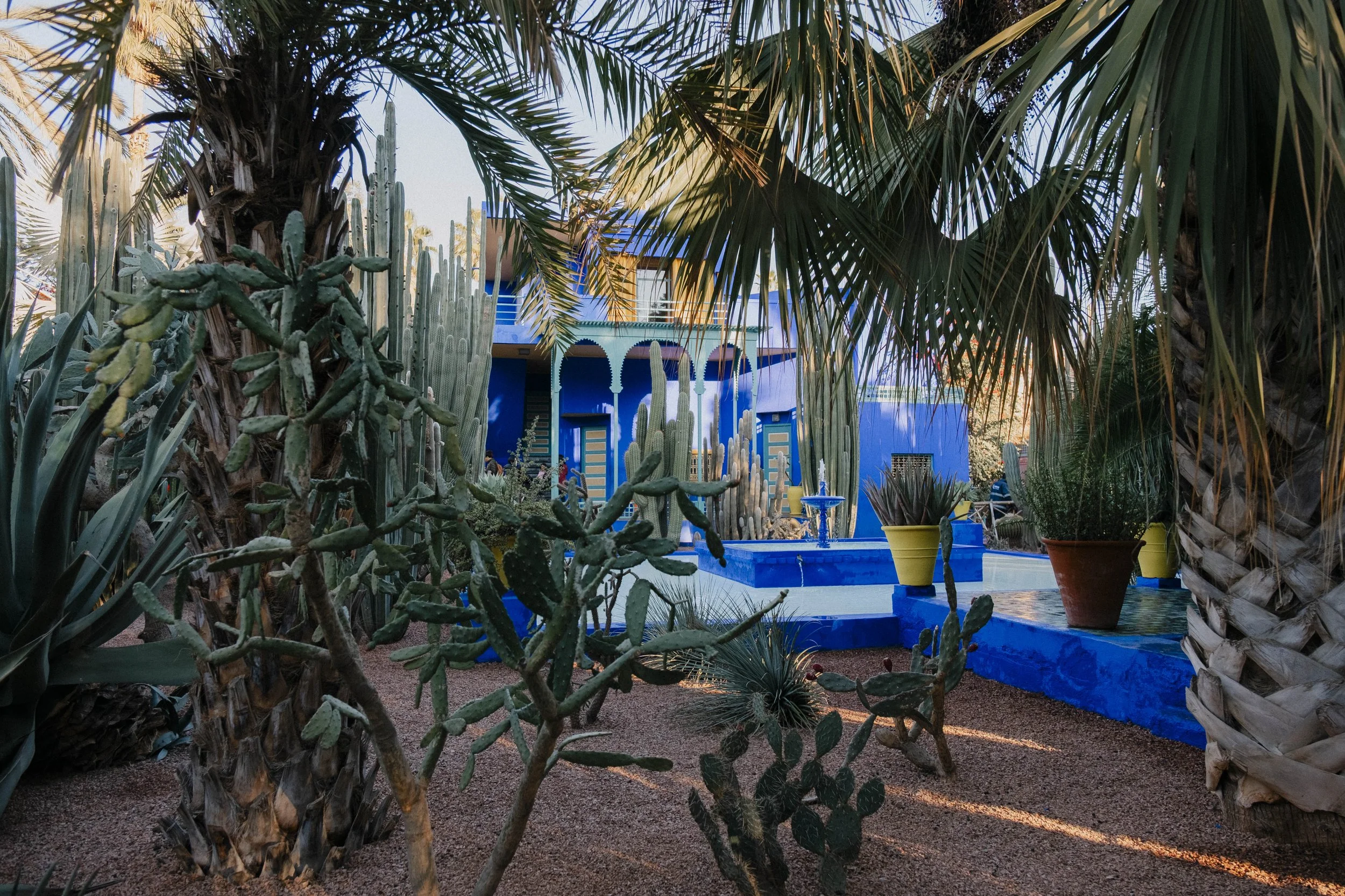A lush indoor garden with various cacti, palm trees, and other desert plants, featuring a blue building with architectural details and a fountain in the background.