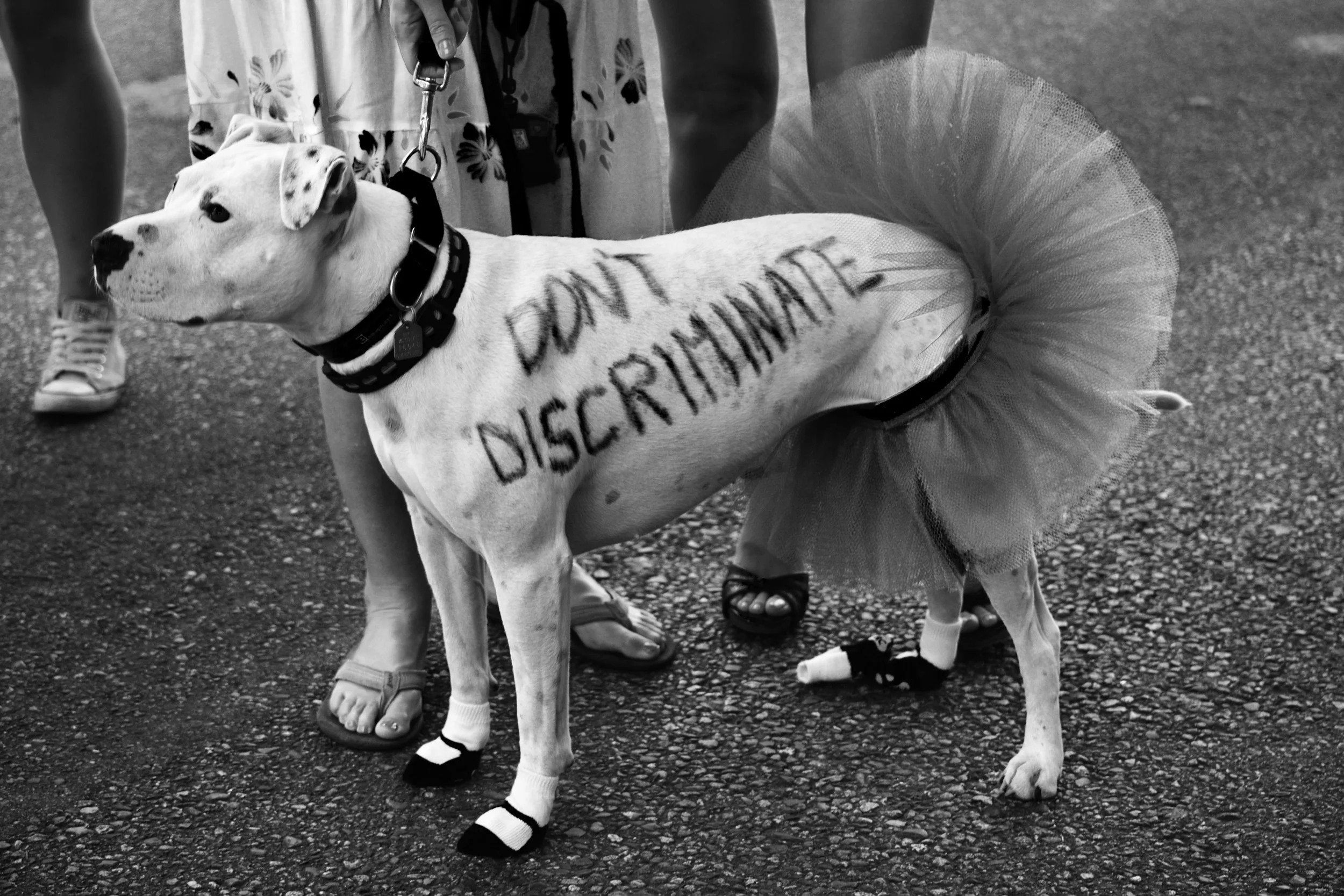 DSC_0779 as Smart Object-1.jpg