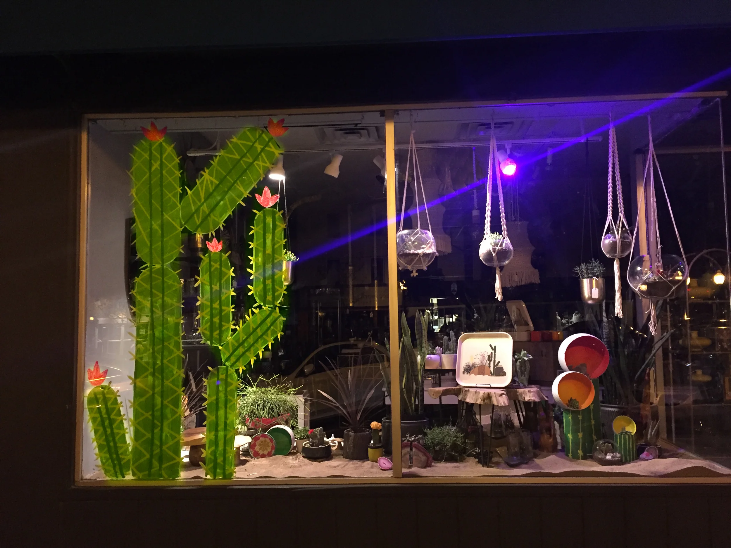 Scout Royal Oak window display