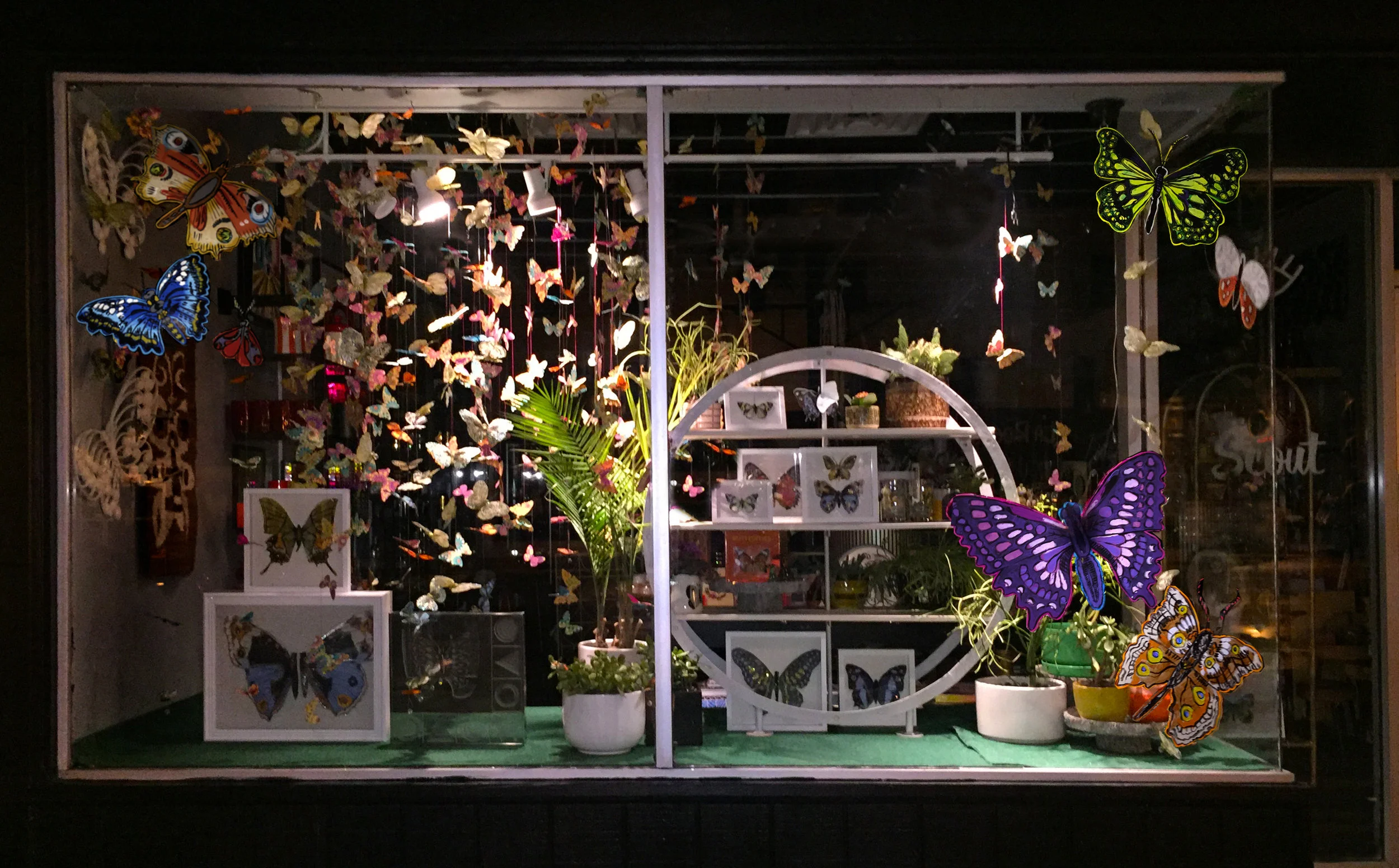 April 2018 Butterfly Window Display