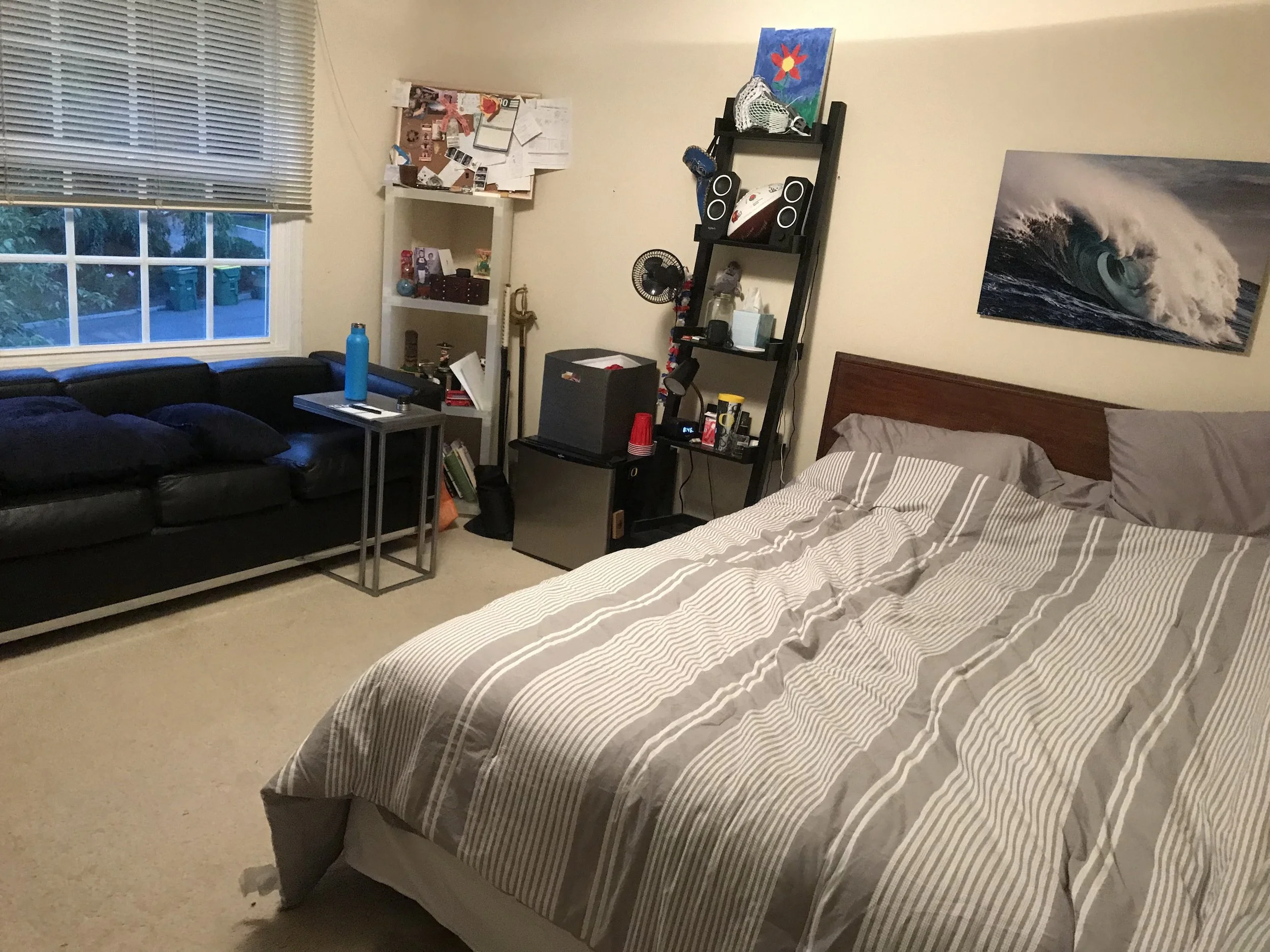 The Renter