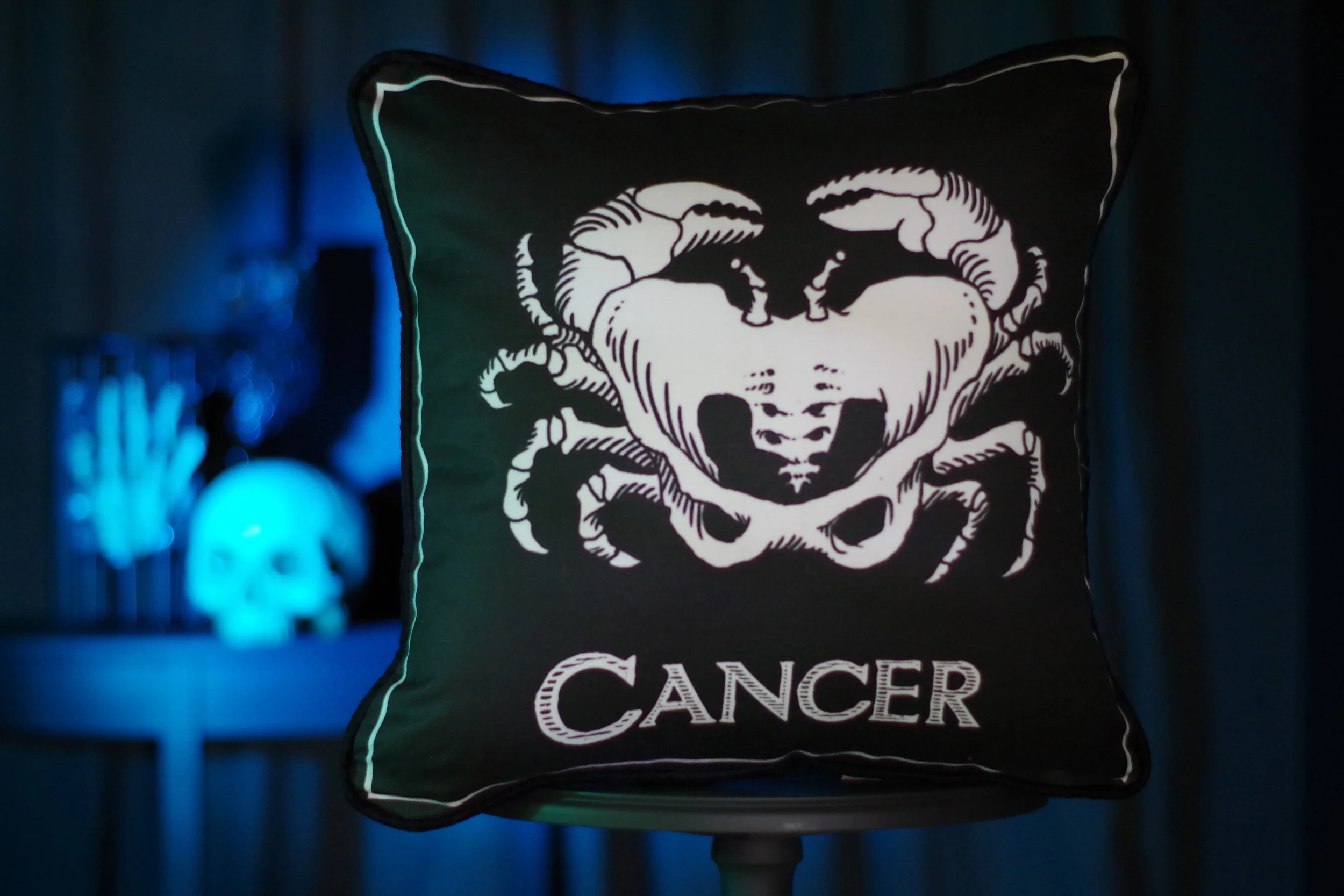 ZodiacThrowPillow.JPG