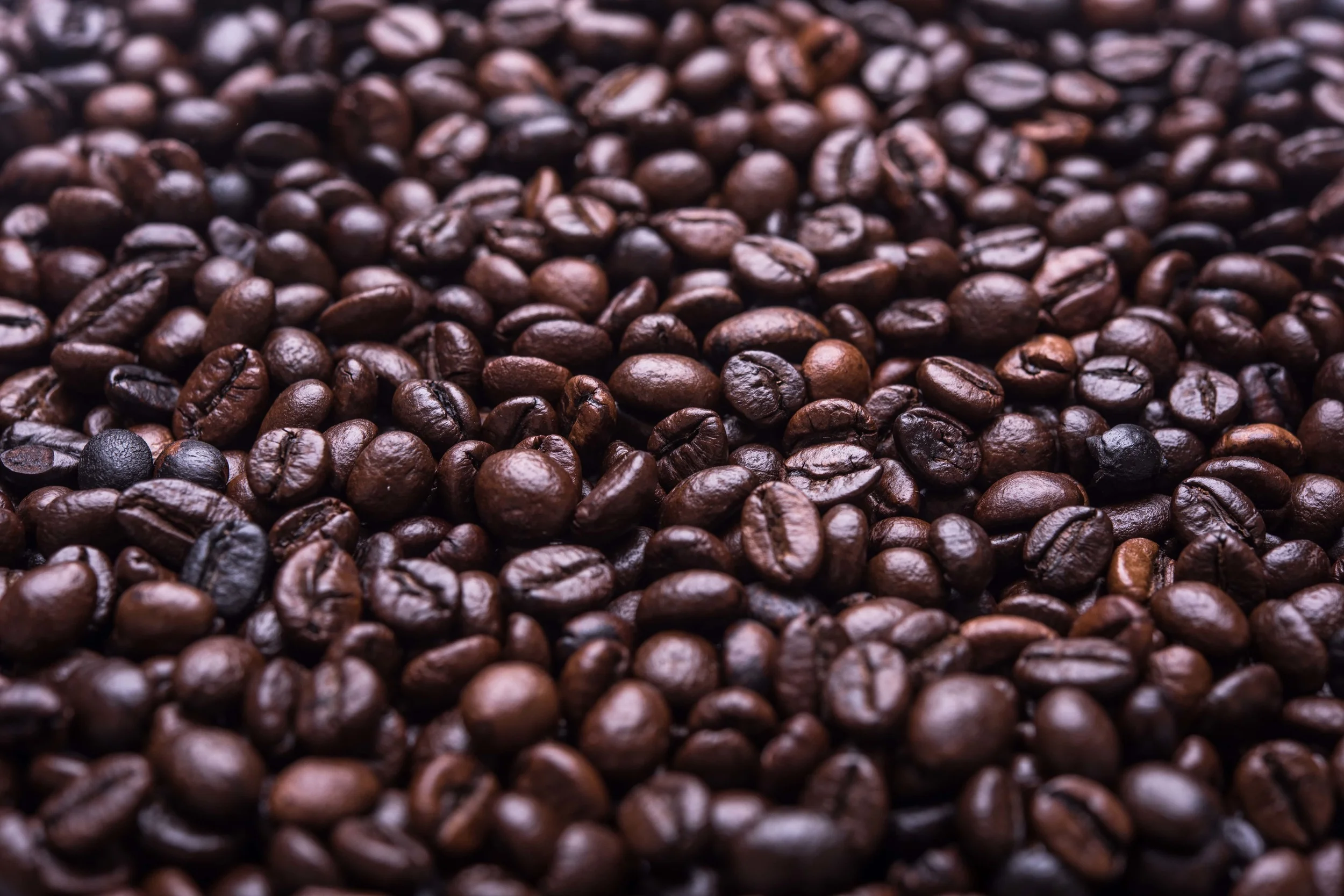 coffee beans - angled-min.jpg