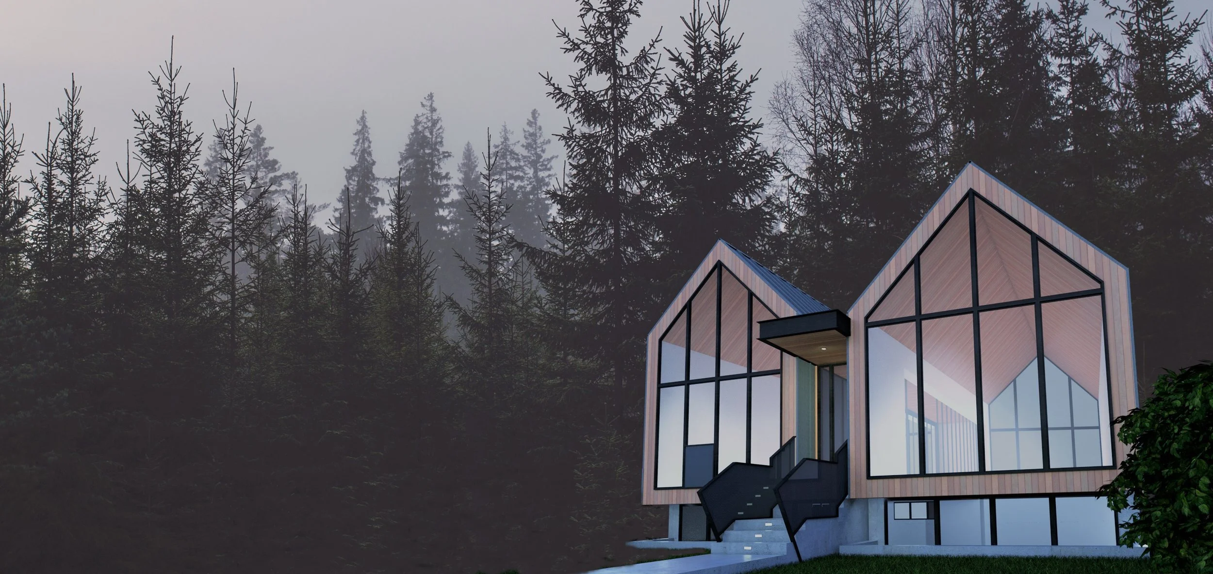 Two Pods in the Forest