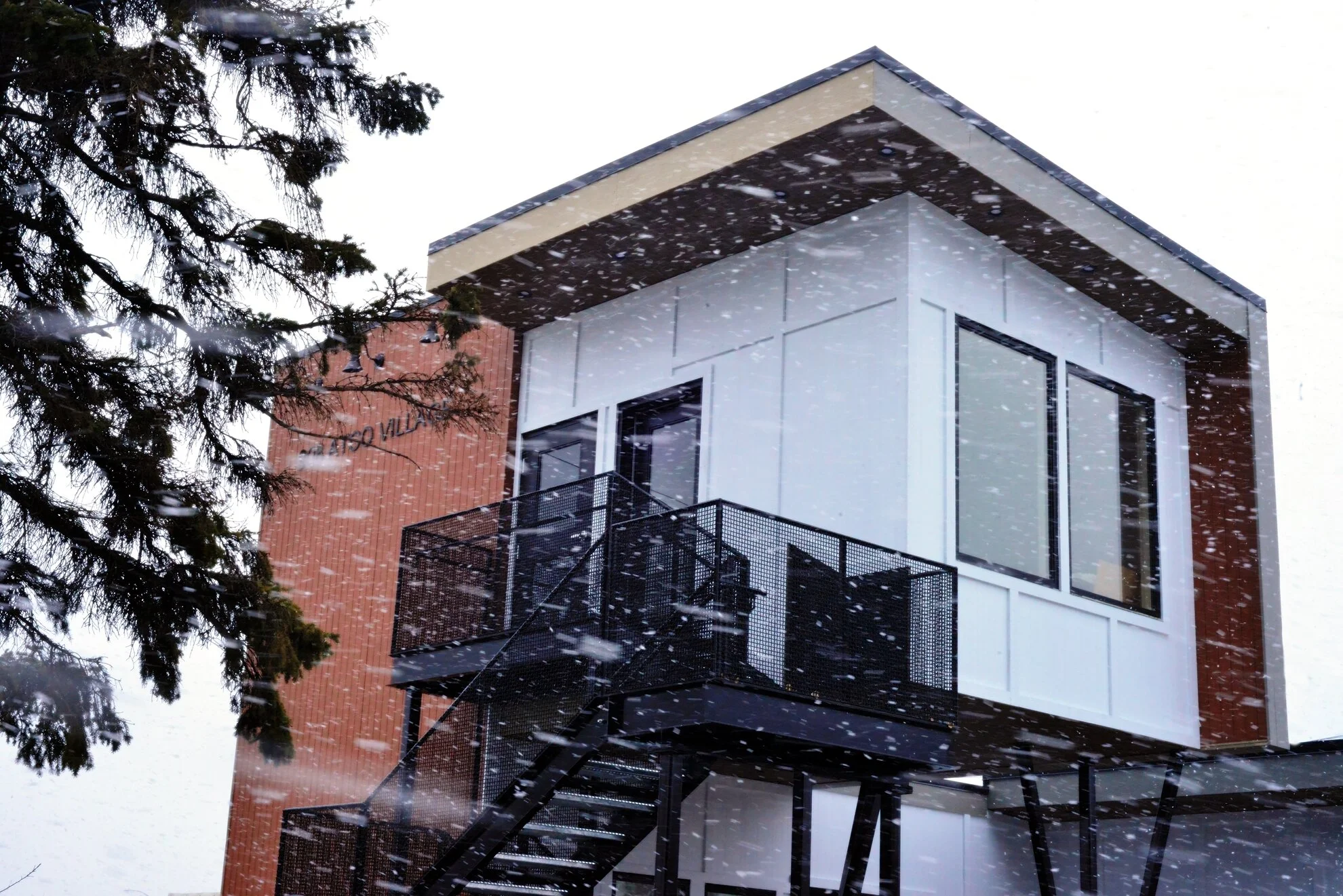 RDG_7057 EDITED 1980W.JPG