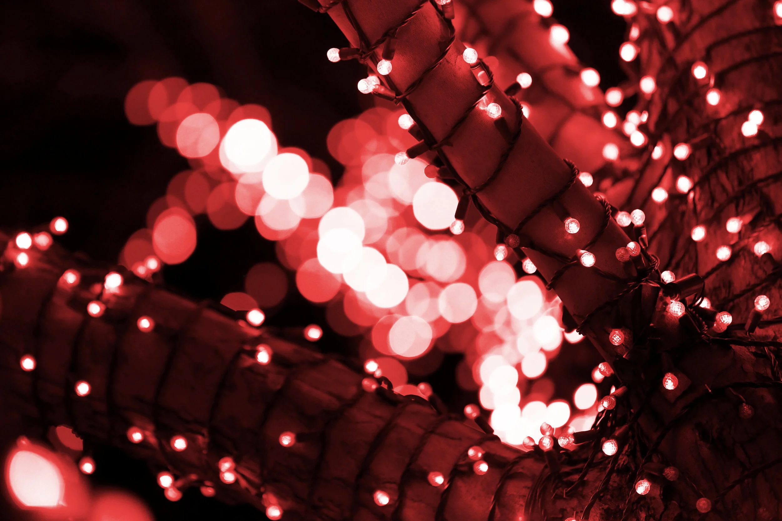  Holiday Lights 
 
 Oklahoma City, Oklahoma, USA 