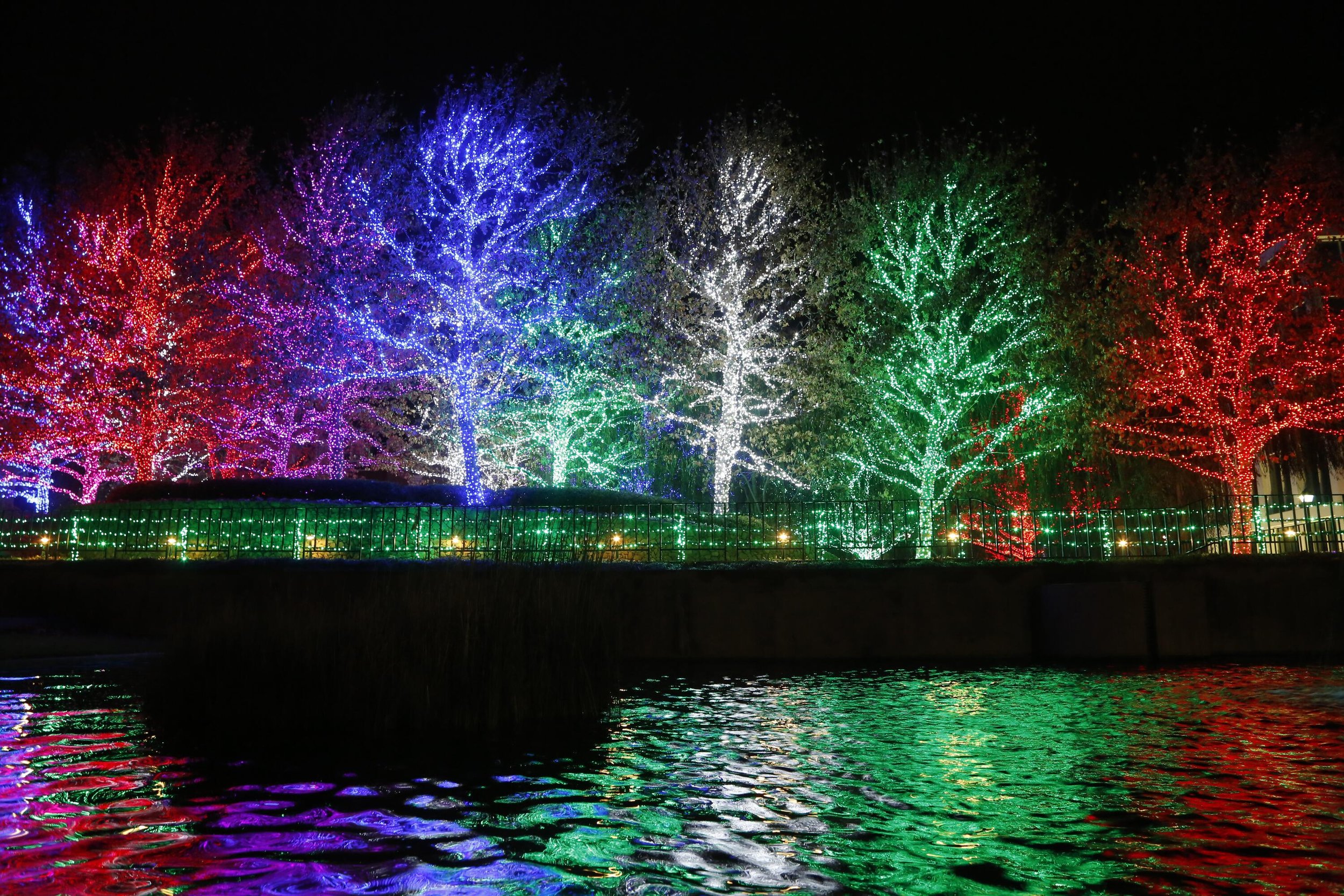 Holiday Lights (Copy)