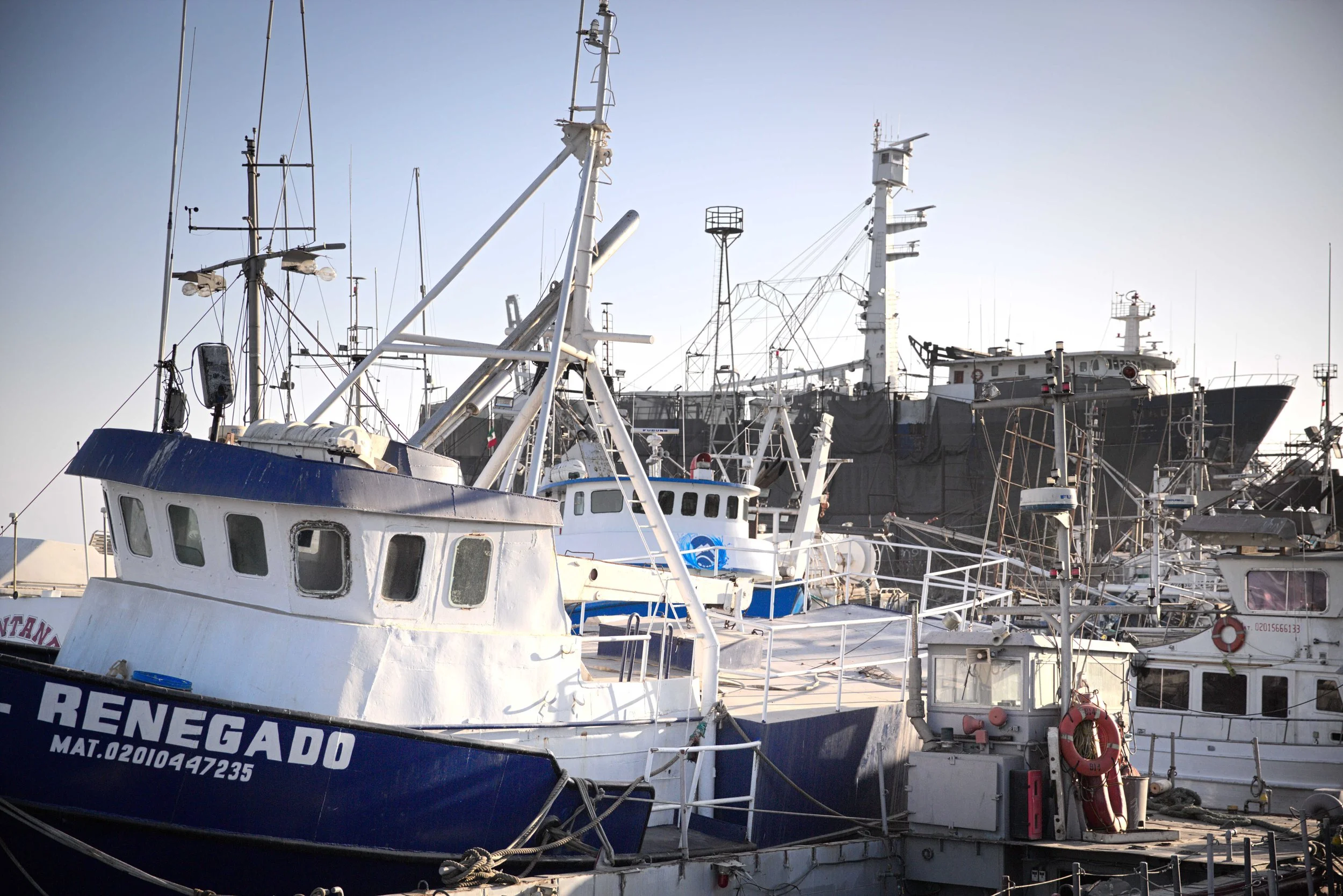 Sport-fishing Docks (Copy)