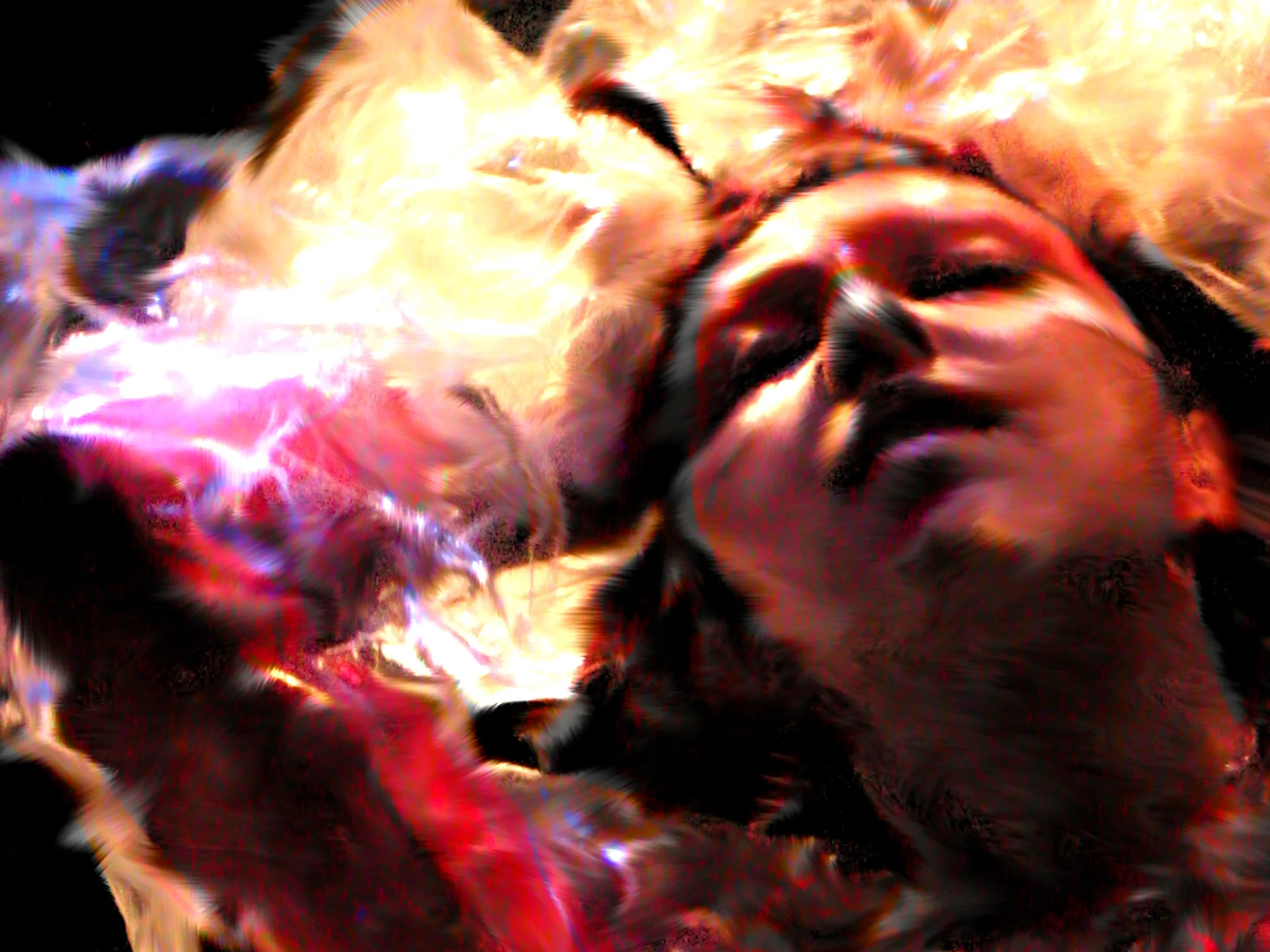Vangeline in Plastic Queens at Galapagos Art Space in 2004