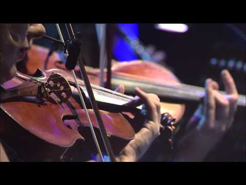 Aristo Strings NYC