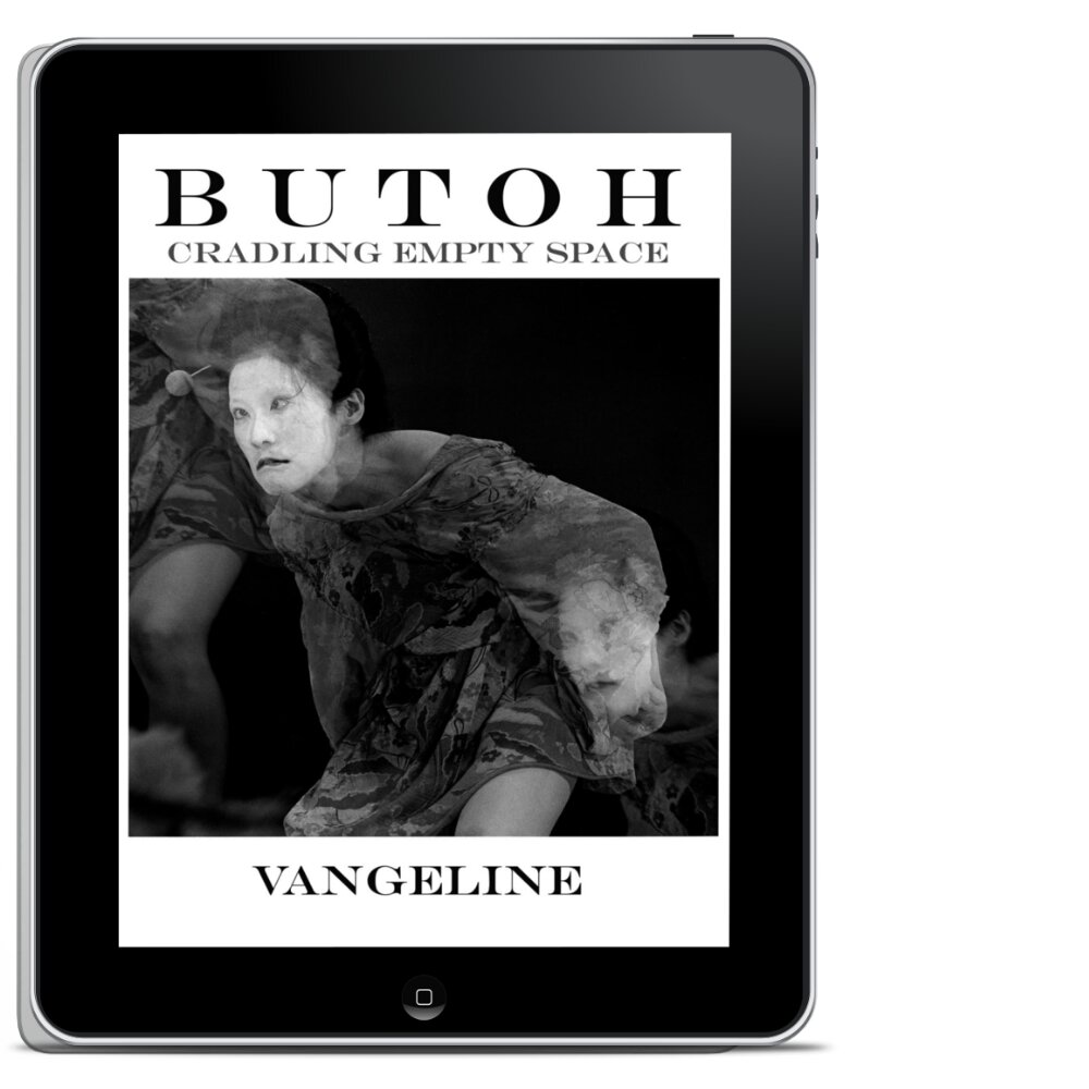 IPAD VERSION- VANGELINE BOOK copy.jpg