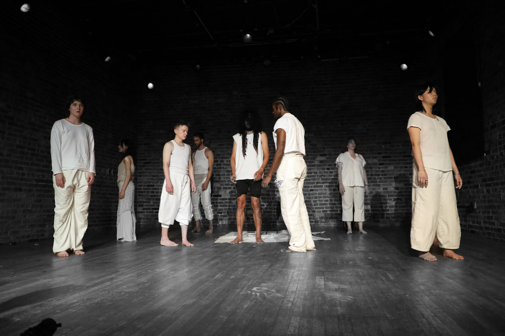 Shahryar Shahamat and dancers--Human on Human