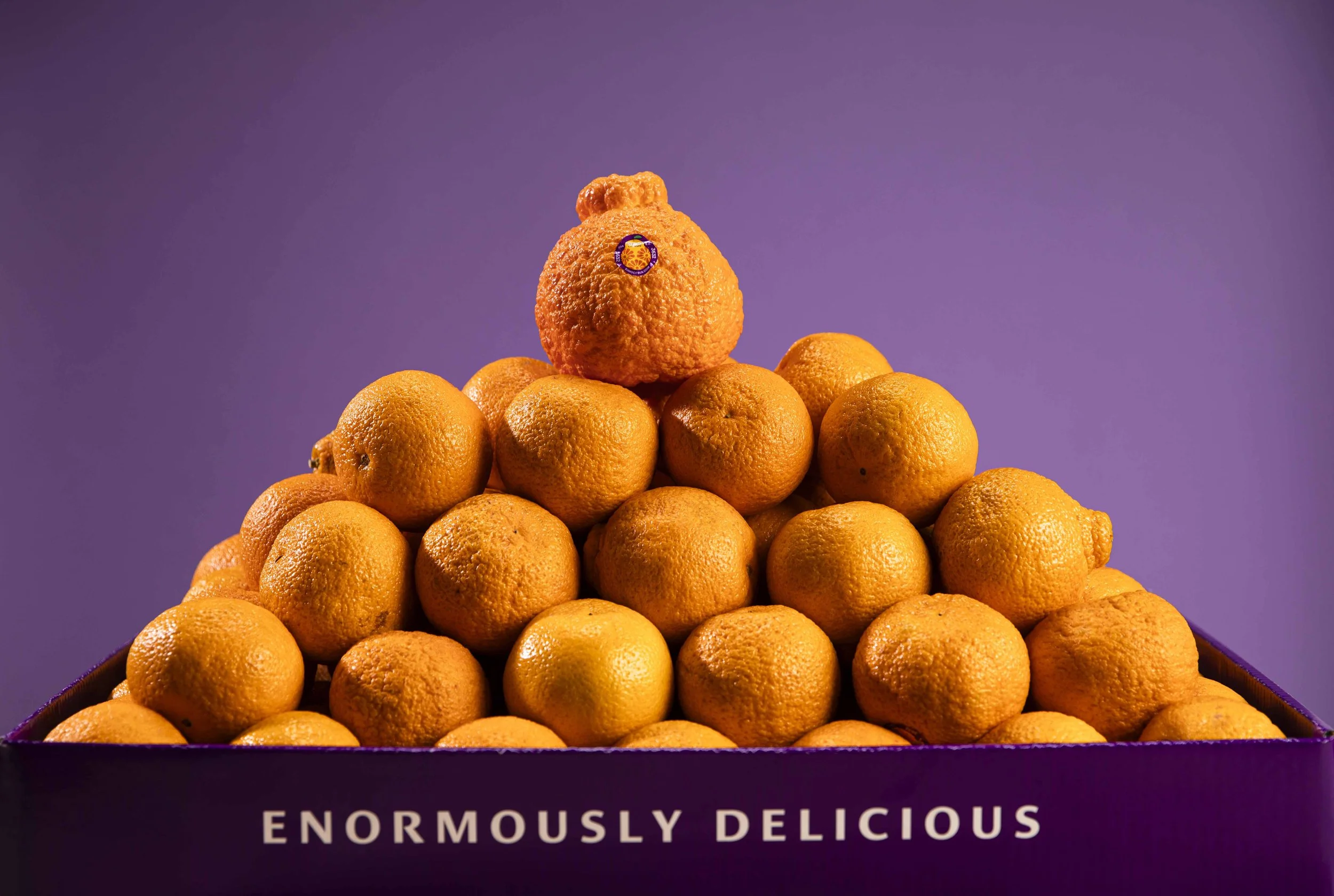 Sumo Citrus web-ready-3.jpg