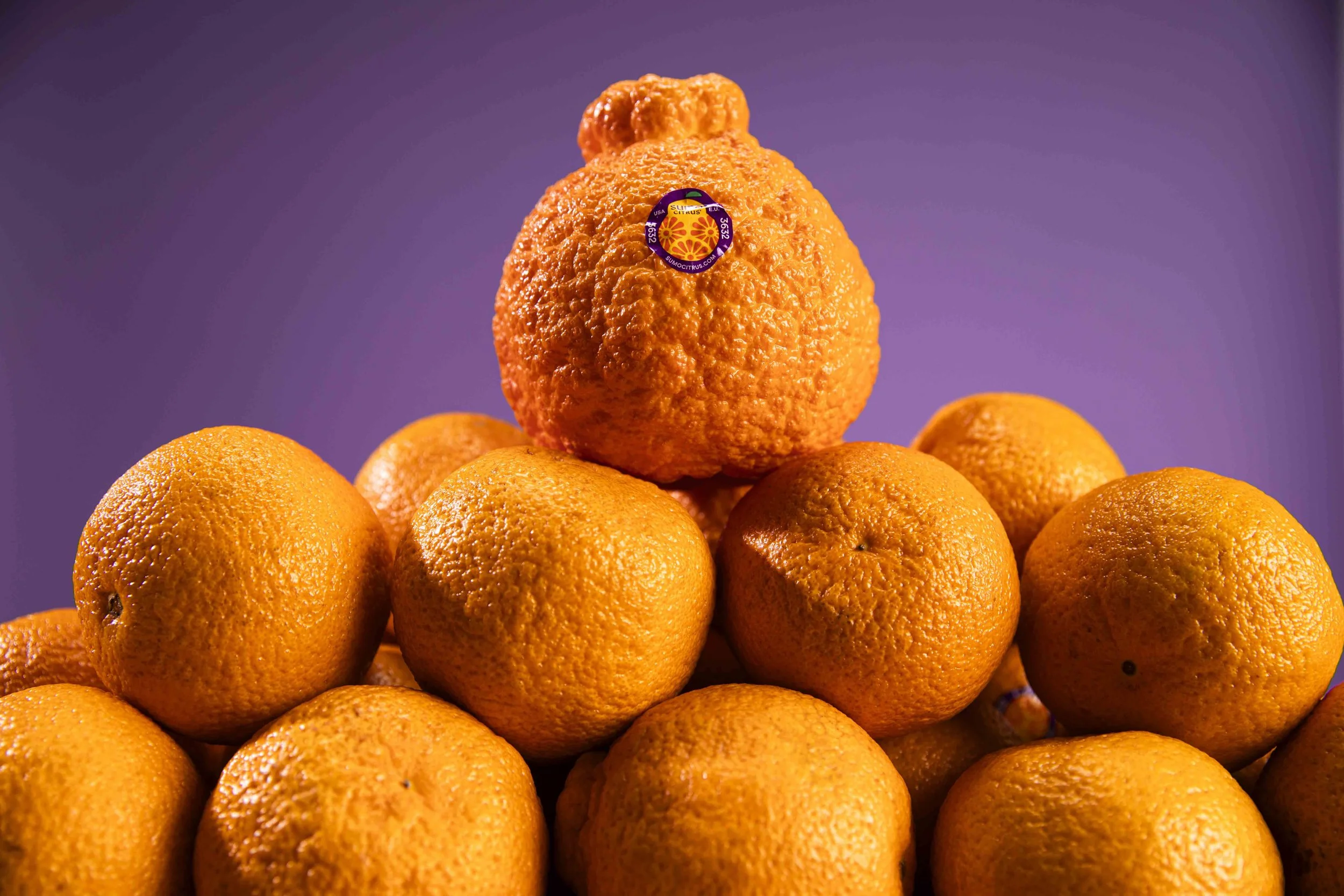 Sumo Citrus web-ready-4.jpg