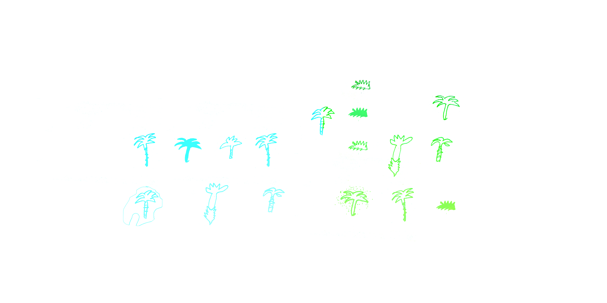 palmtrees.jpg