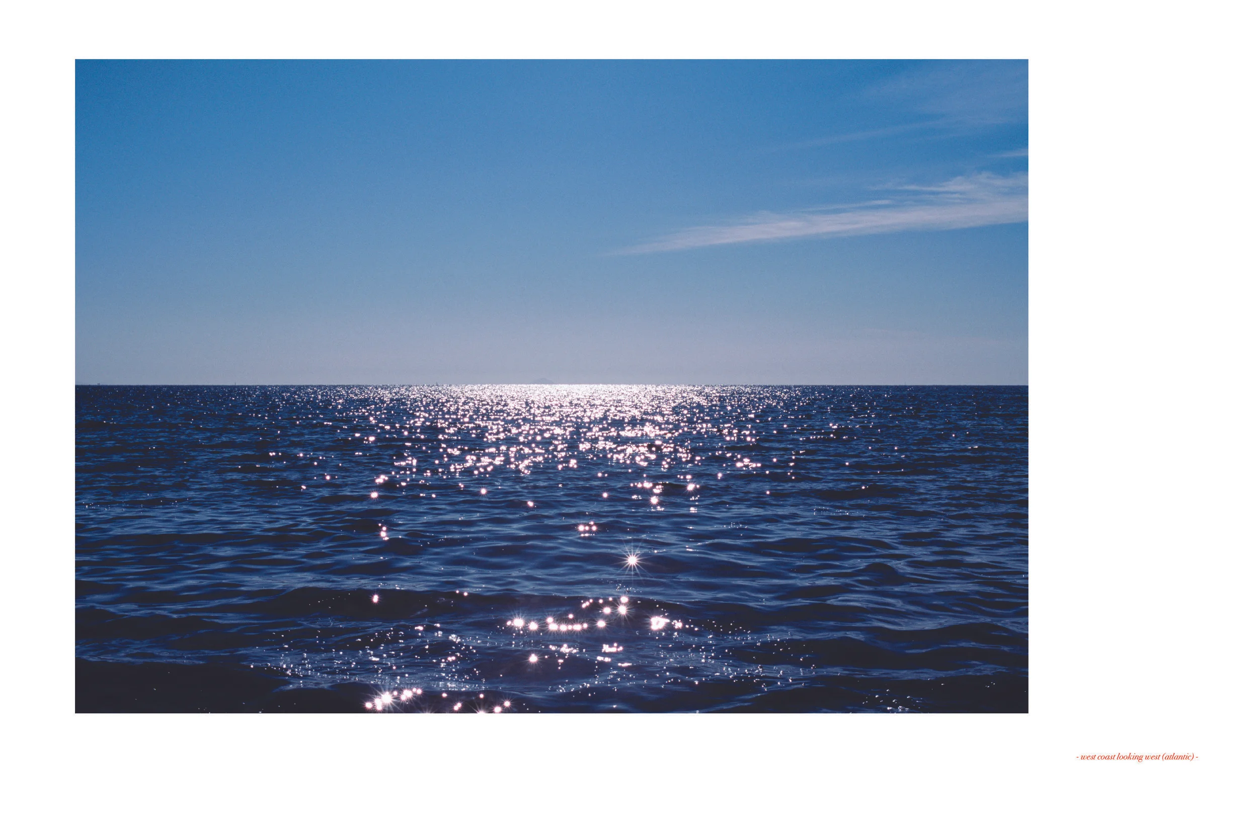 ZING_23_PP255-2715.jpg