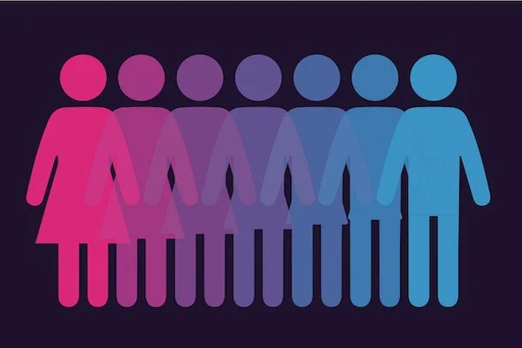 They/Them Pronouns Are Valid Pronouns