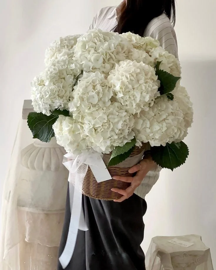 Elegant White Hydrangea Basket