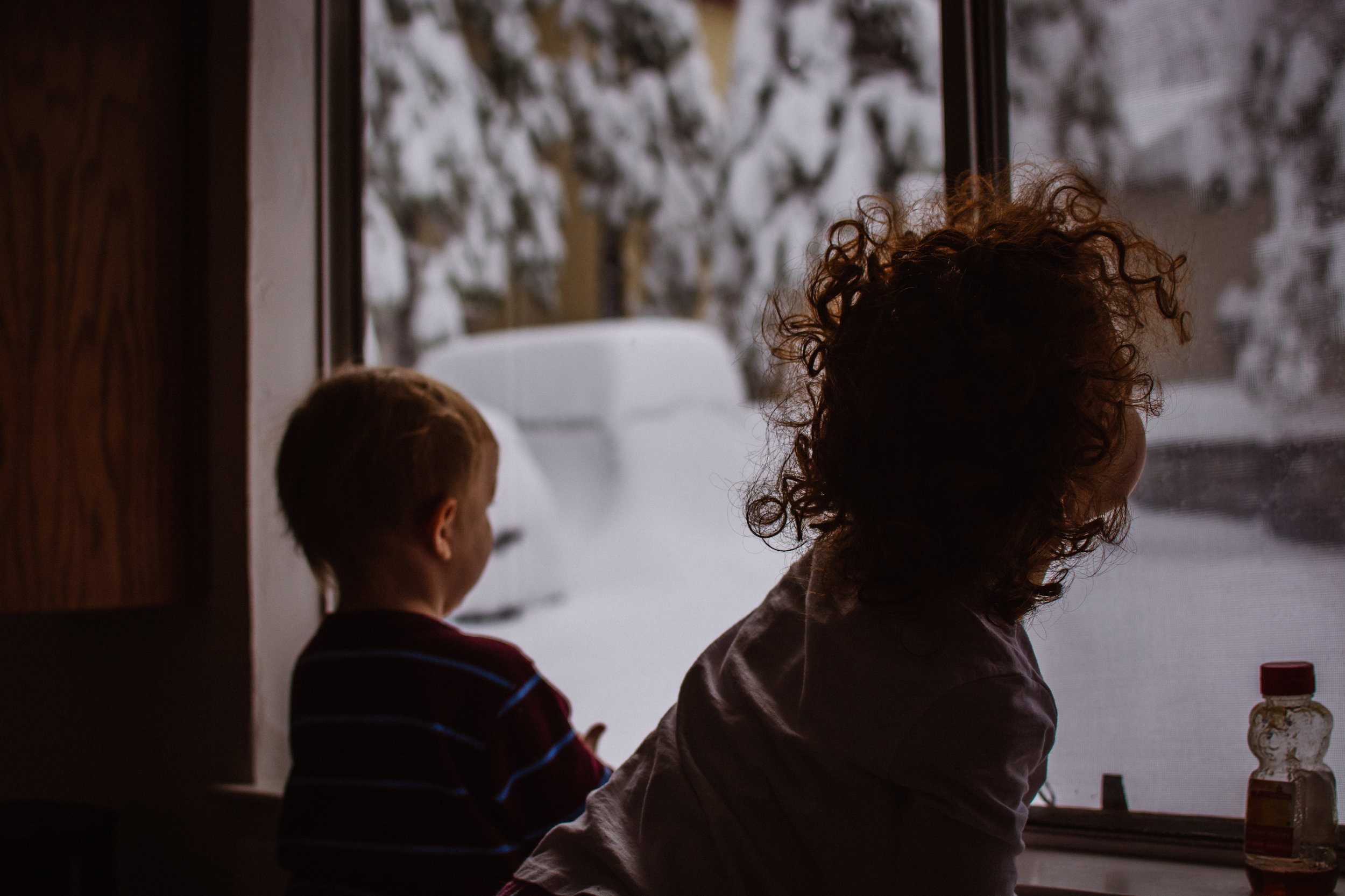 The best show on earth.