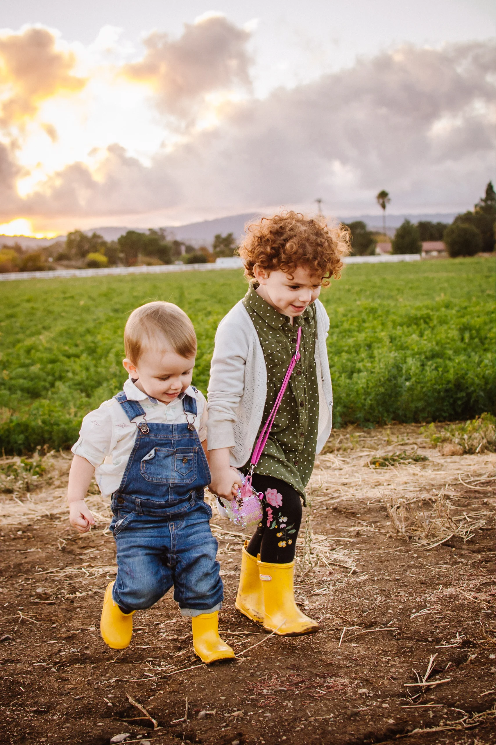 Siblings Without Rivalry - Book Review