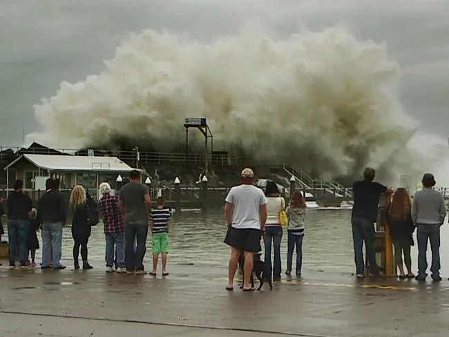 Episode 18: Elise Currey Show Notes