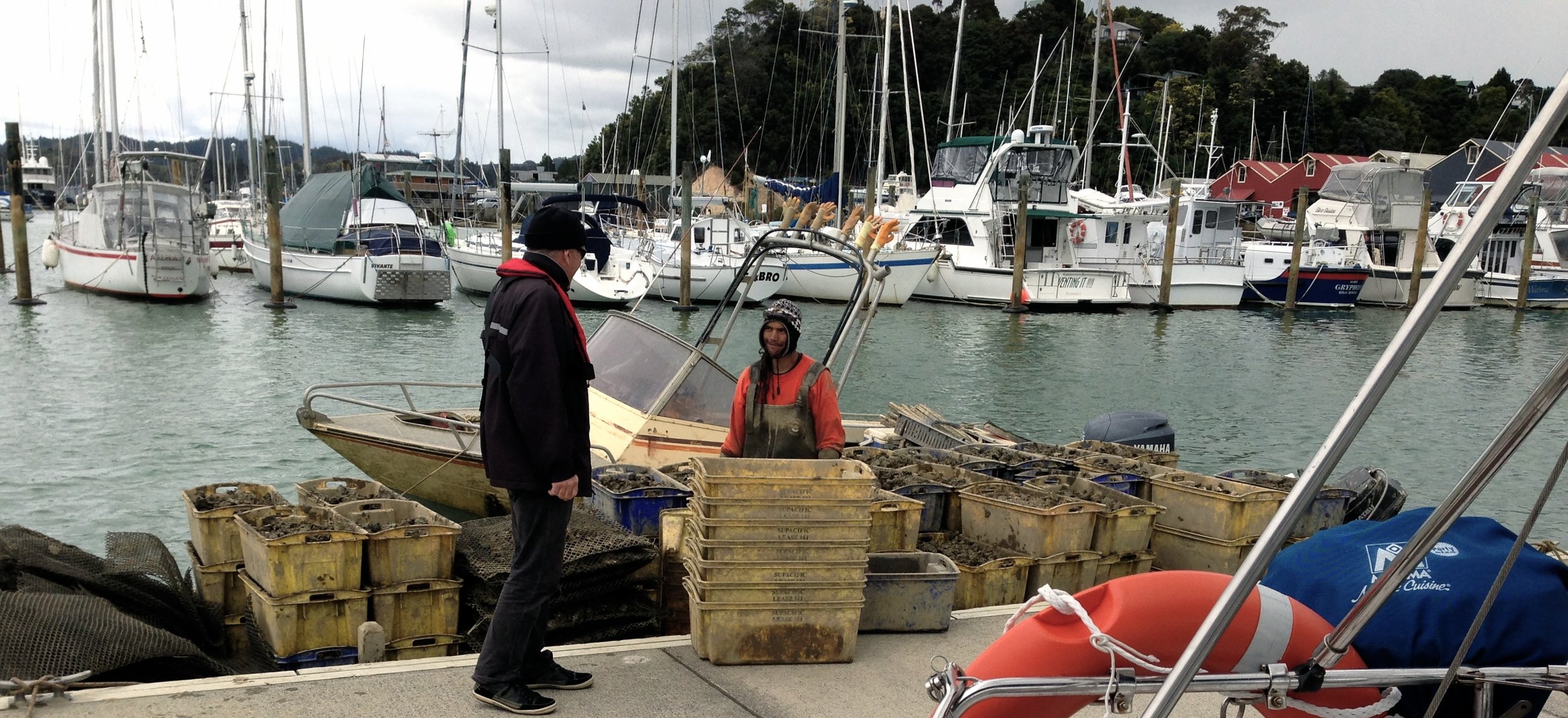 Opua marina prior to crossing the Tasman Sea