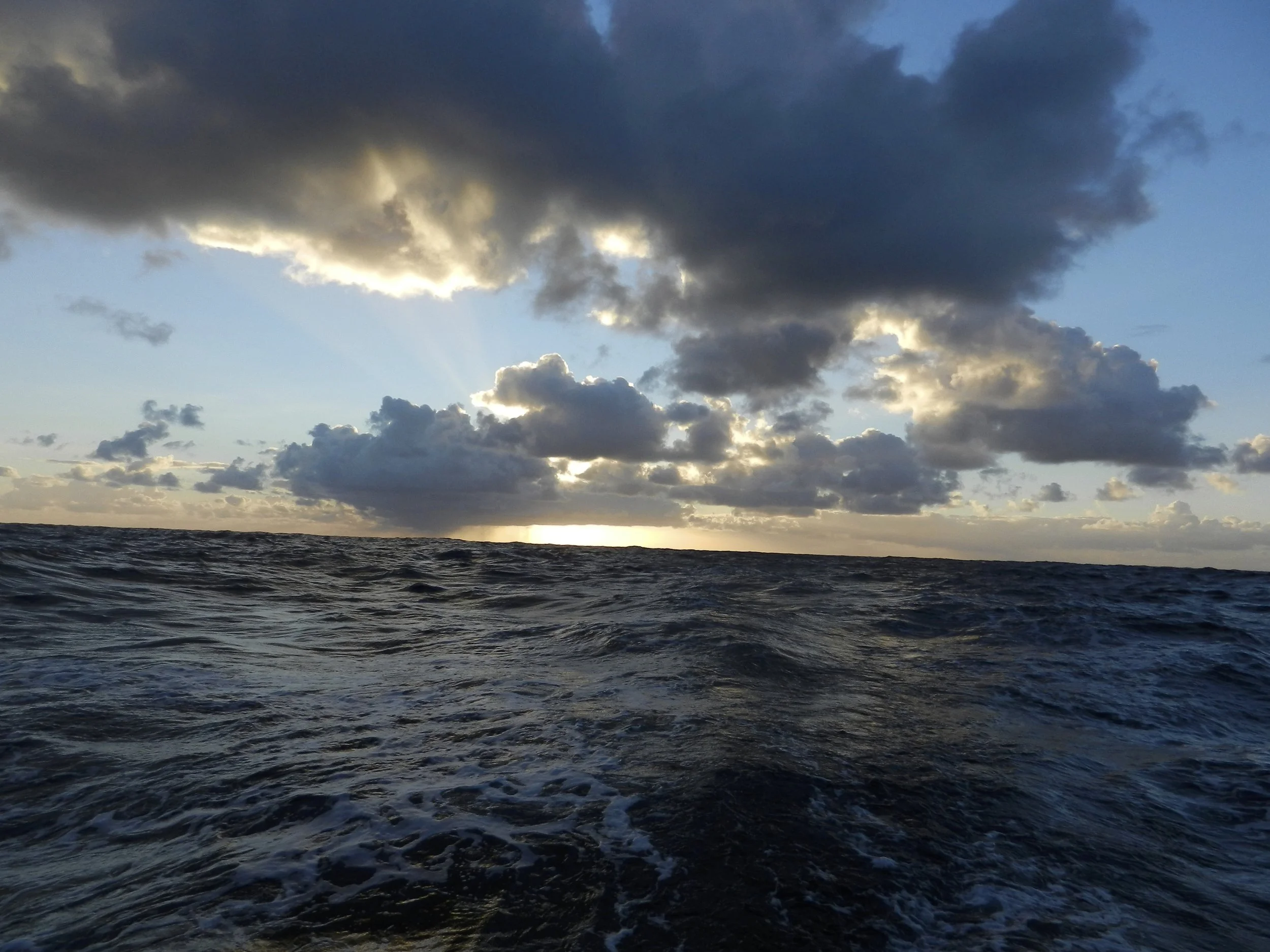 DSCN3087.jpg