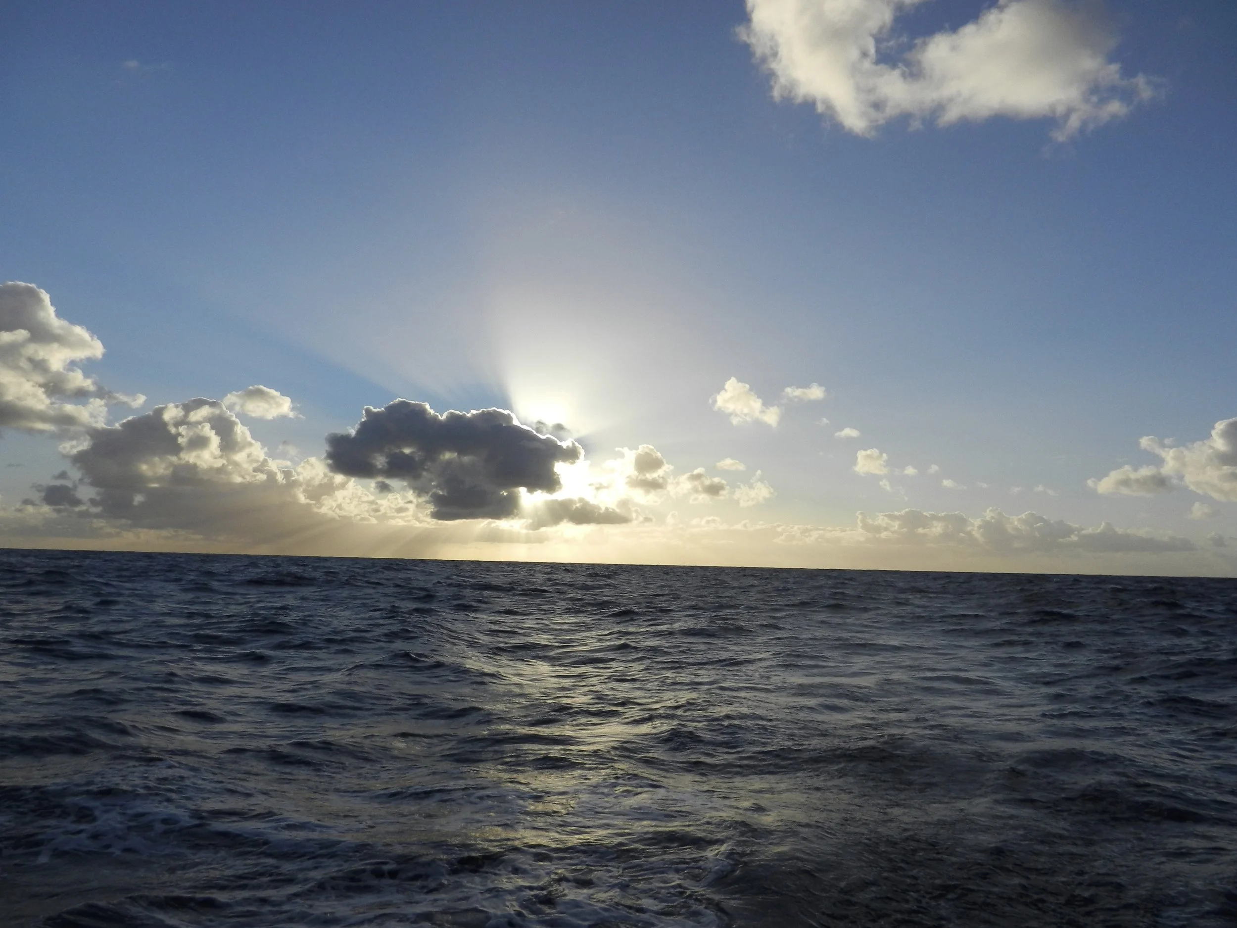DSCN3091.jpg