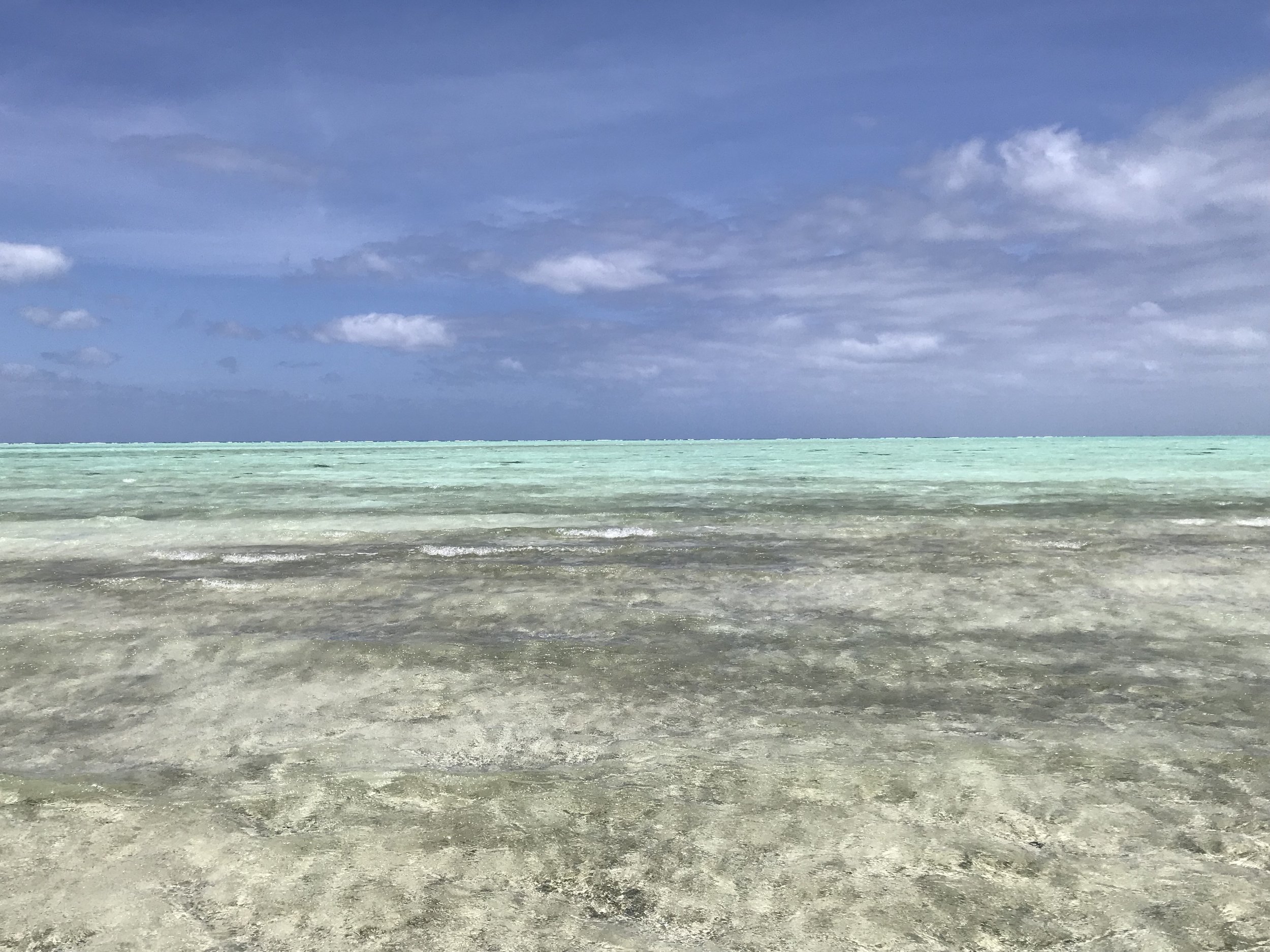 Elizabeth Reef Coral Lagoon