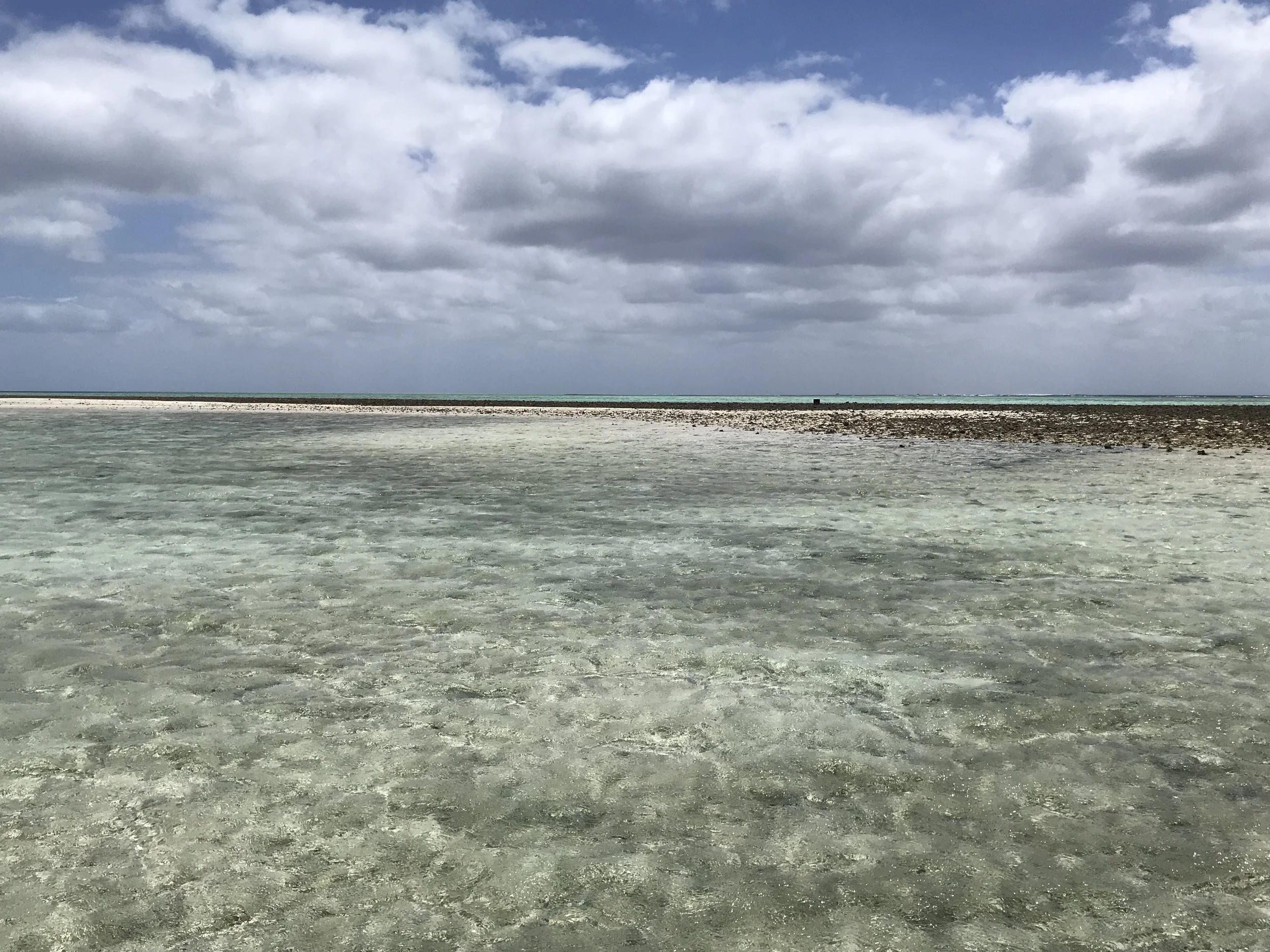 Exploring Elizabeth Reef