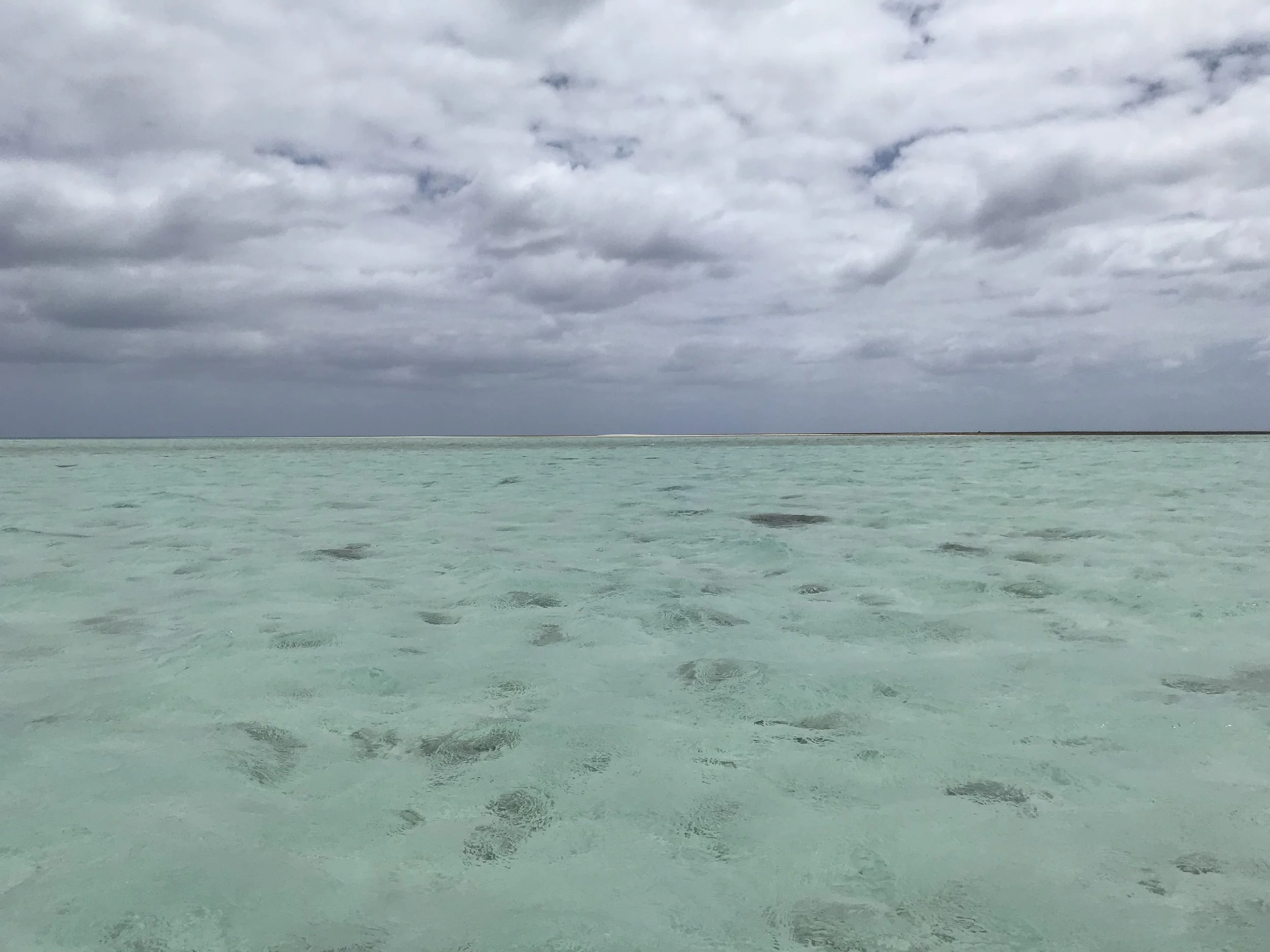 Elizabeth Reef exploring