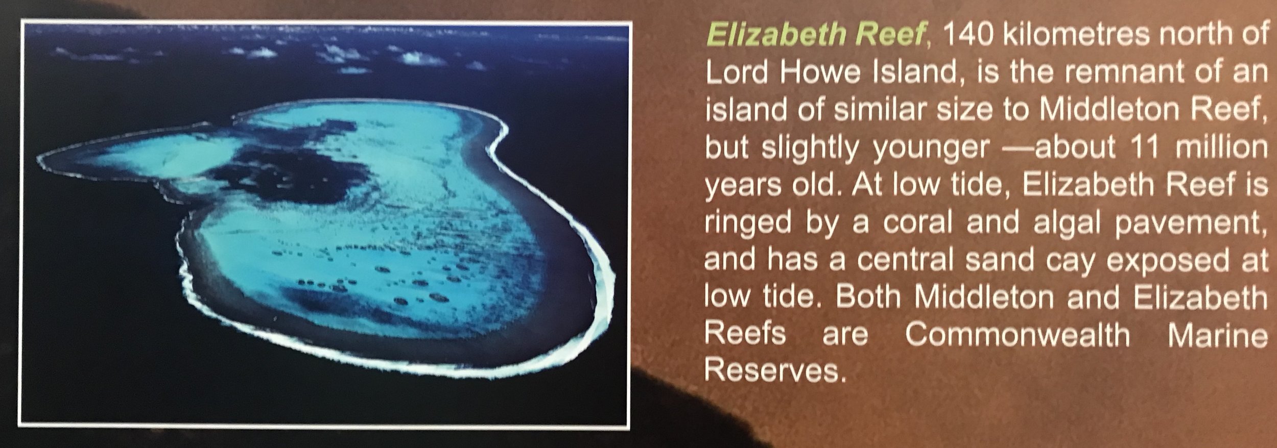 Elizabeth Reef History