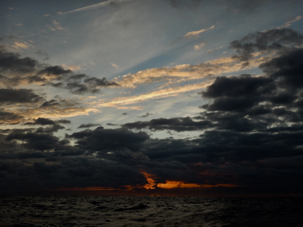 Sydney to Auckland Race 2021.jpg