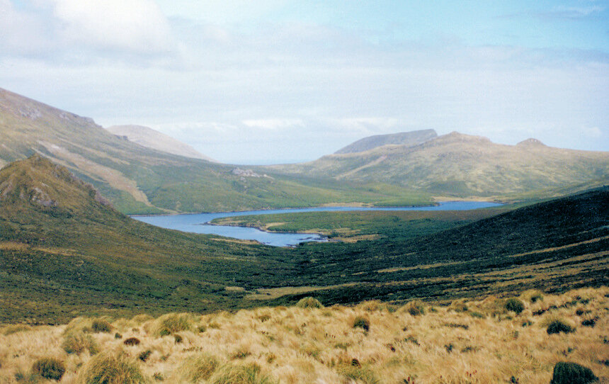 Campbell_Island_Landscape.jpg