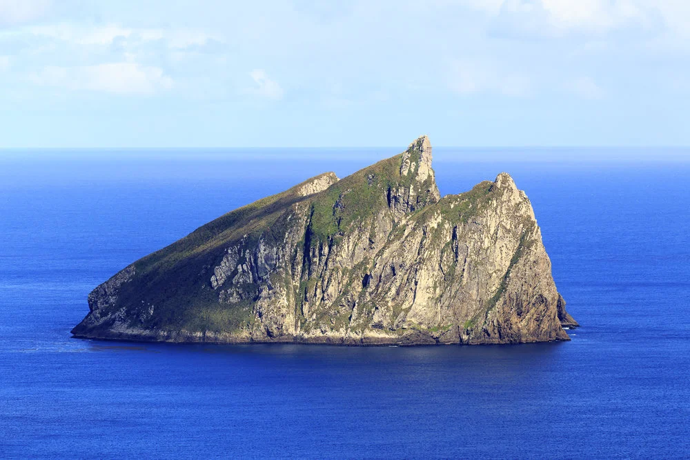 image-asset (2).jpeg