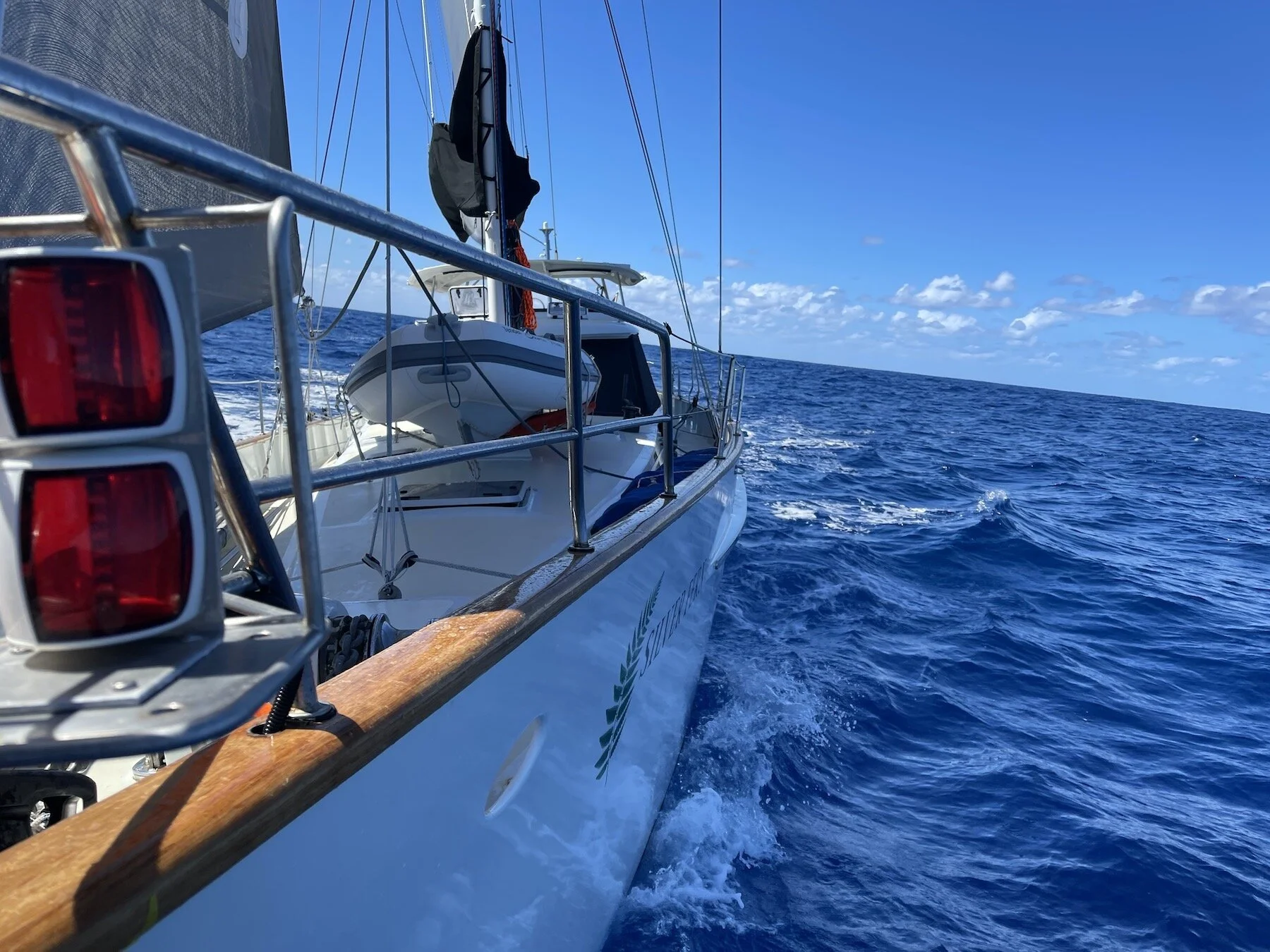 Picton to Southport 2021 — Ocean Sailing Expeditions