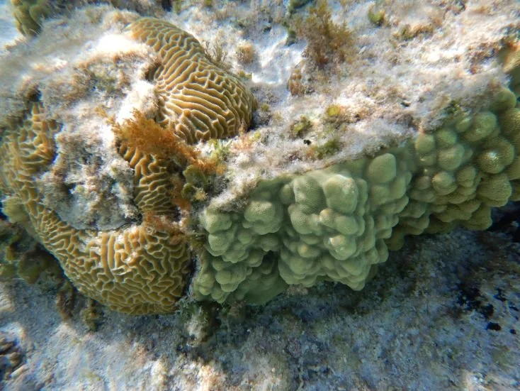 DSCN0582.jpg