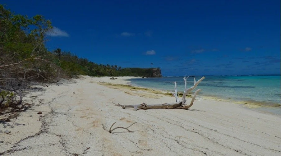 Kingdom of Tonga Cruising Jun 2024 — Ocean Sailing Expeditions
