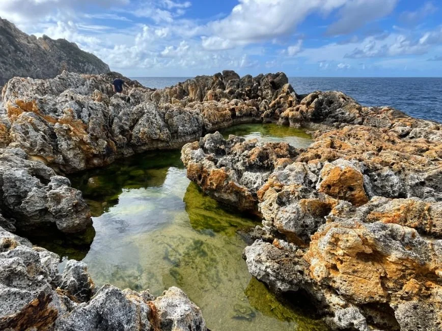 Great Barrier Island (868X651).jpg