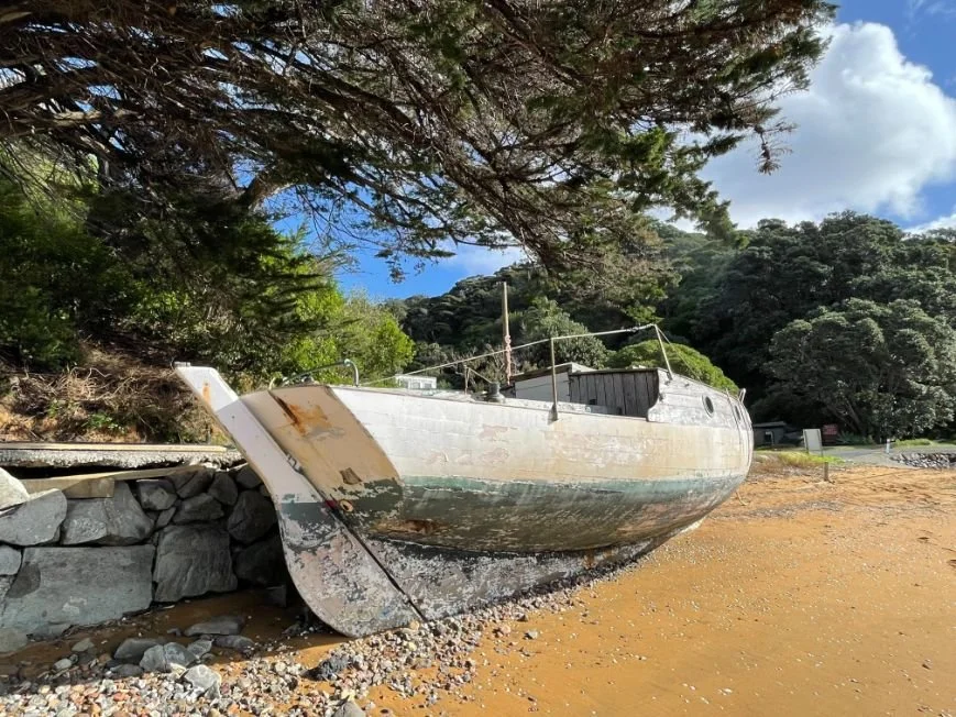 Great Barrier Island (869X652).jpg