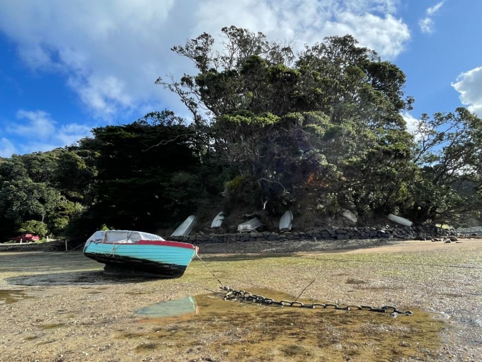 Great Barrier Island (959X720).jpg