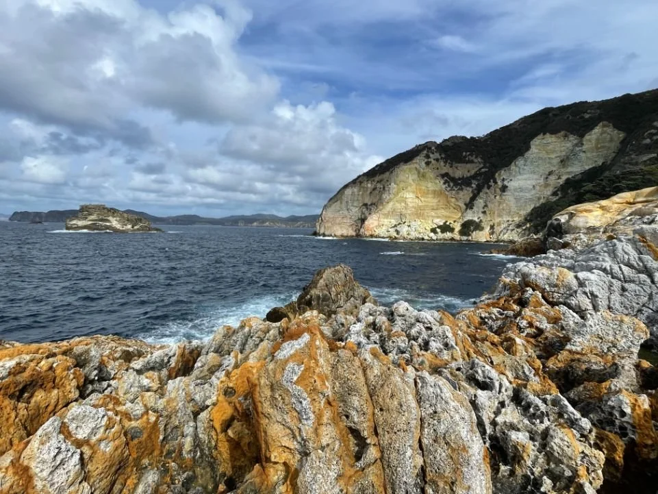 Great Barrier Island (961X721).jpg