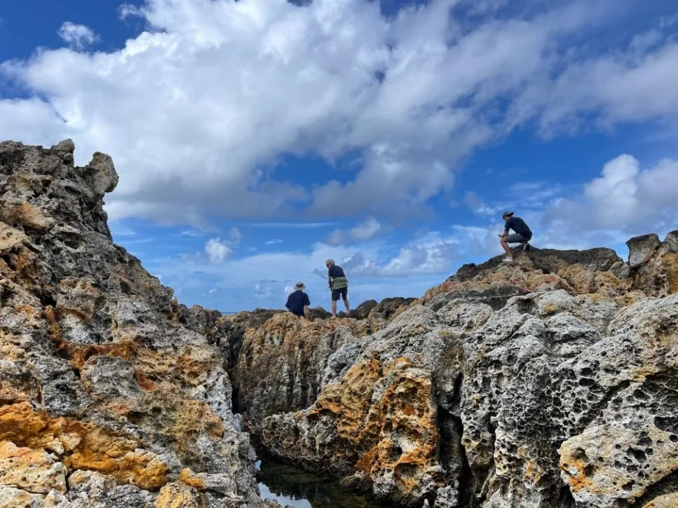 Great Barrier Island (967X725).jpg