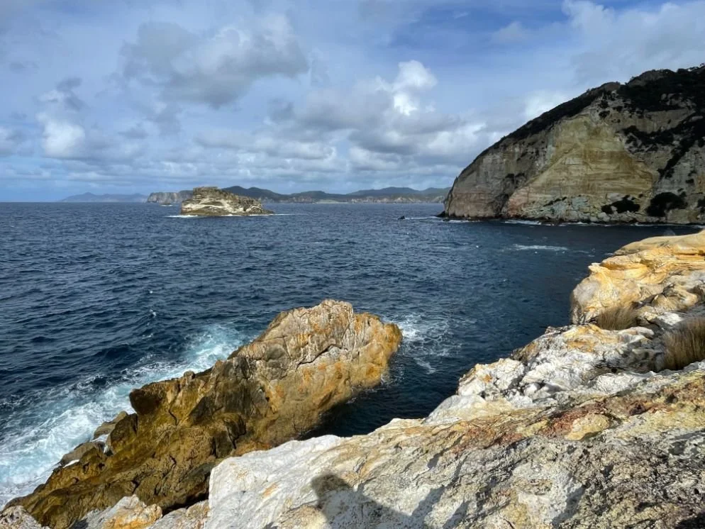 Great Barrier Island (994X746).jpg